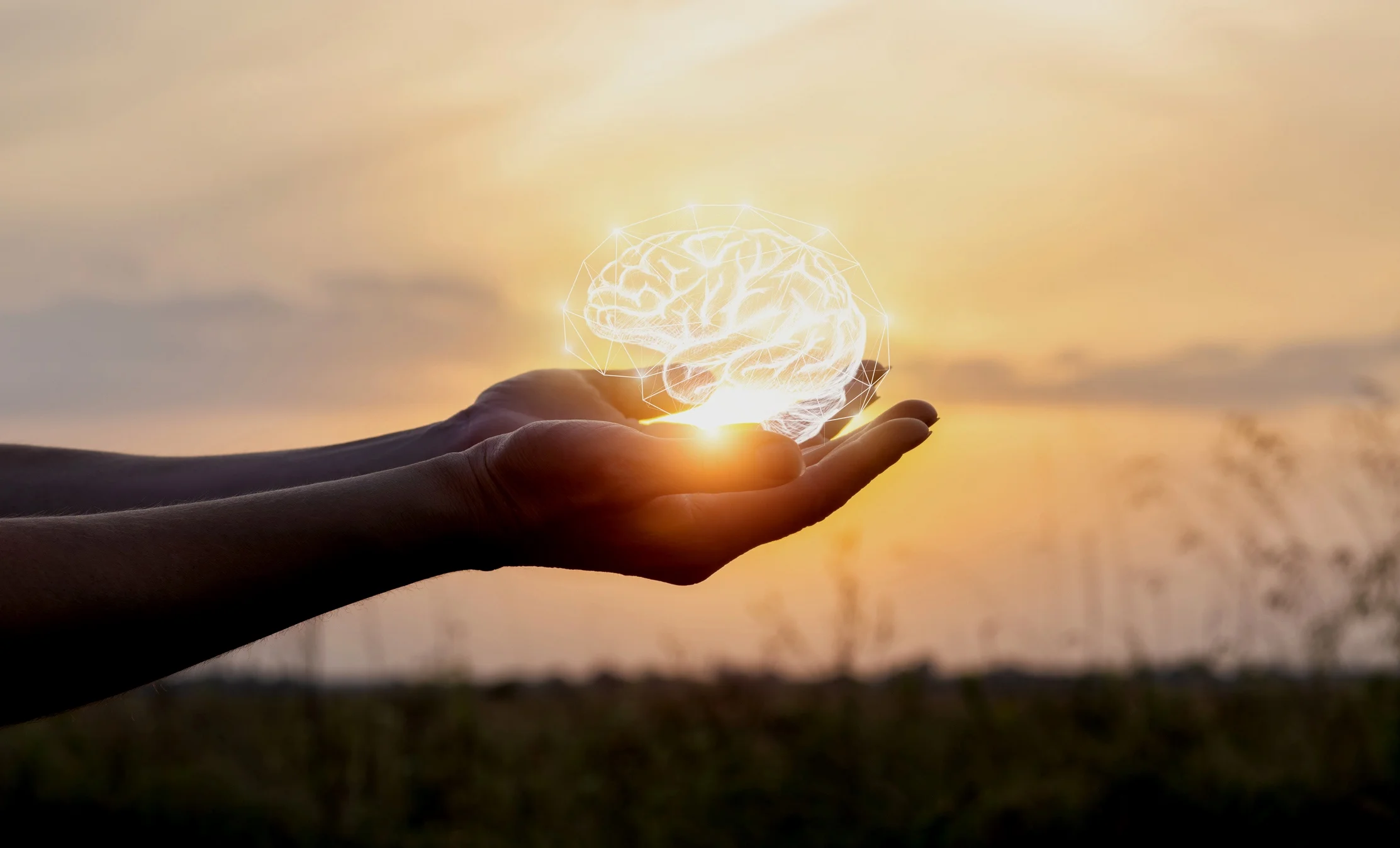 iStock-1014950206.jpg