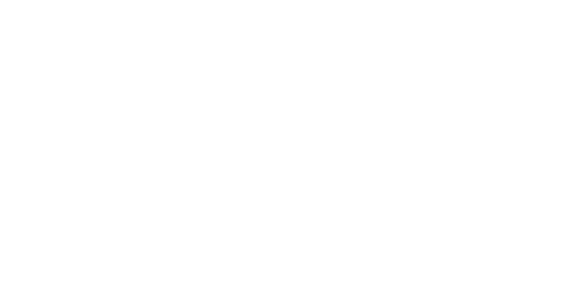 David B. Morse