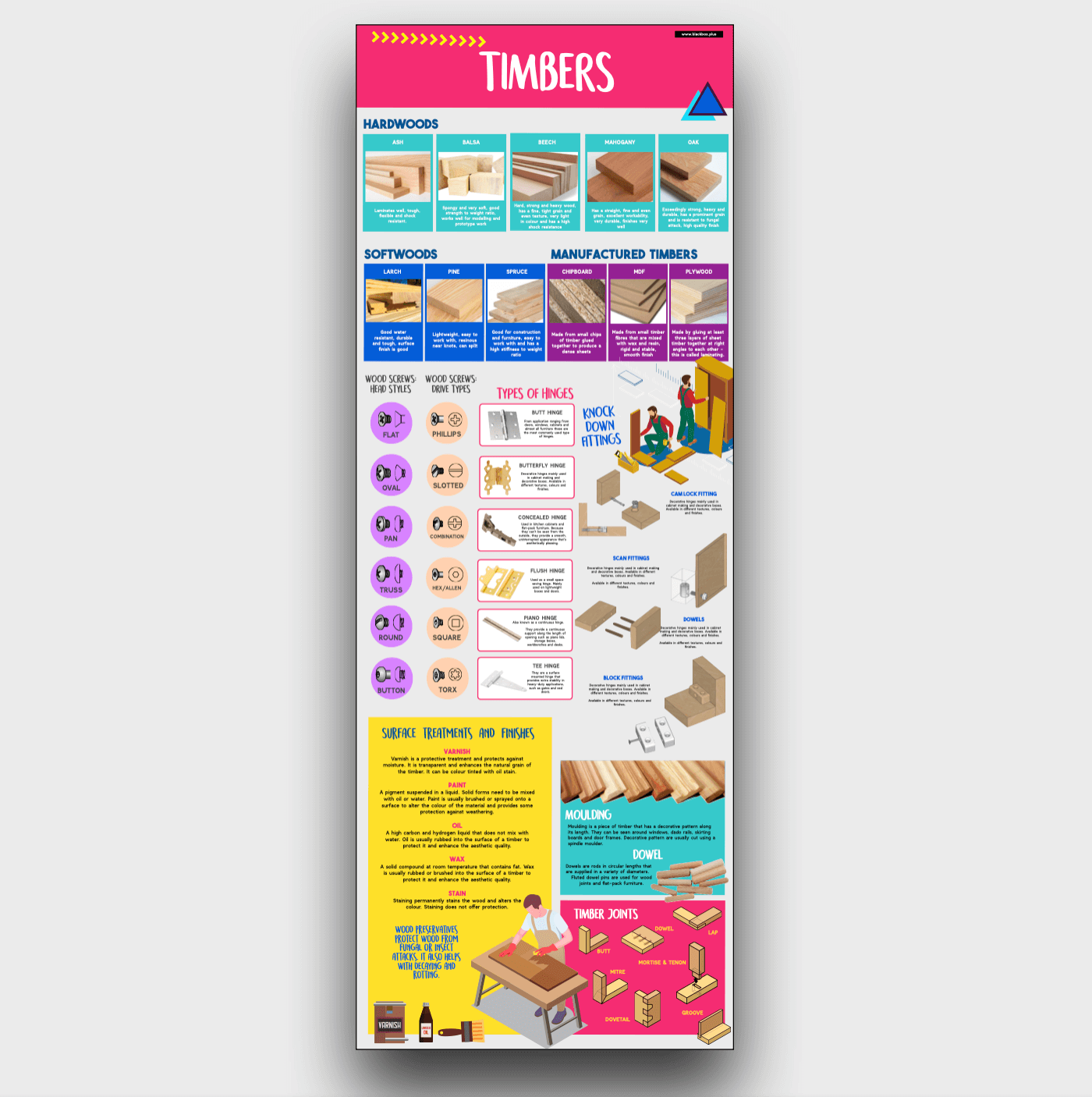 TIMBERS INFOGRAPHIC POSTER.png