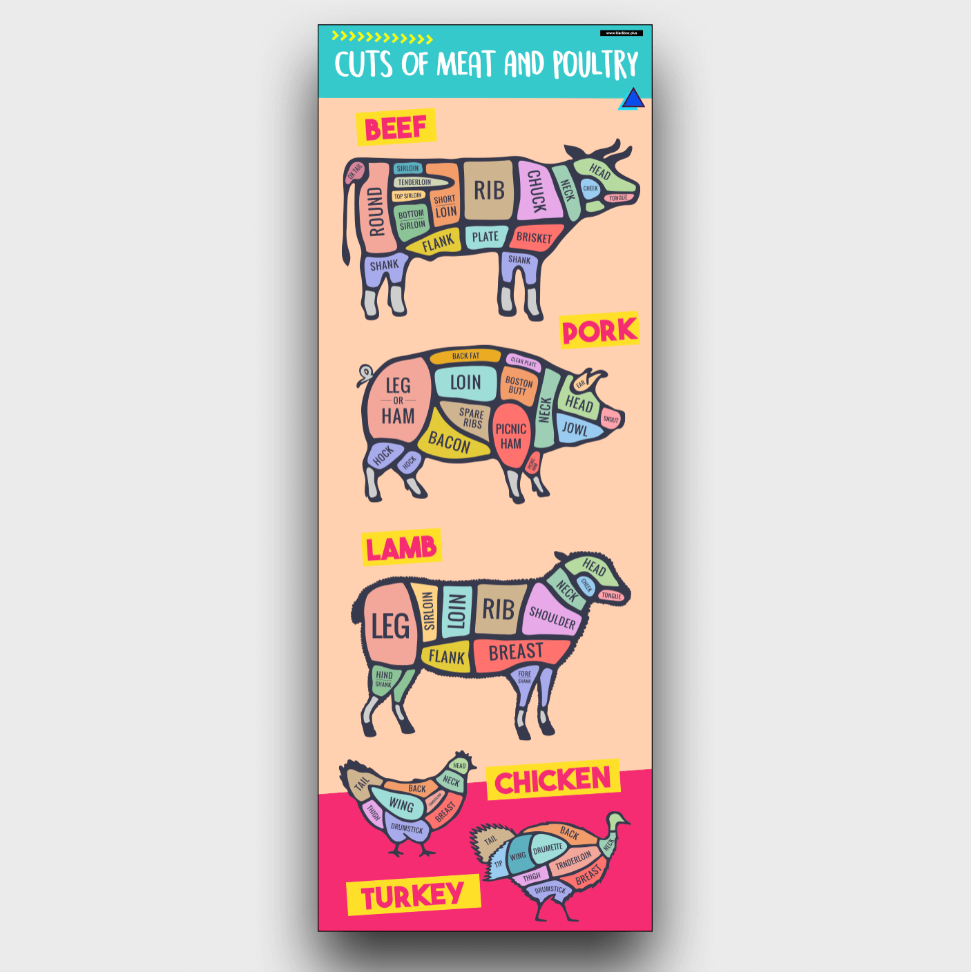 MEAT AND POULTRY CUTS.png