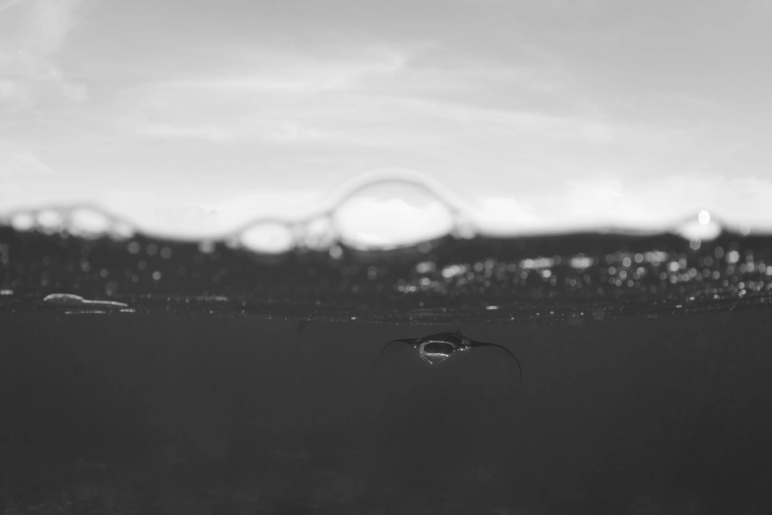 _Y8A8857-Edit.jpg