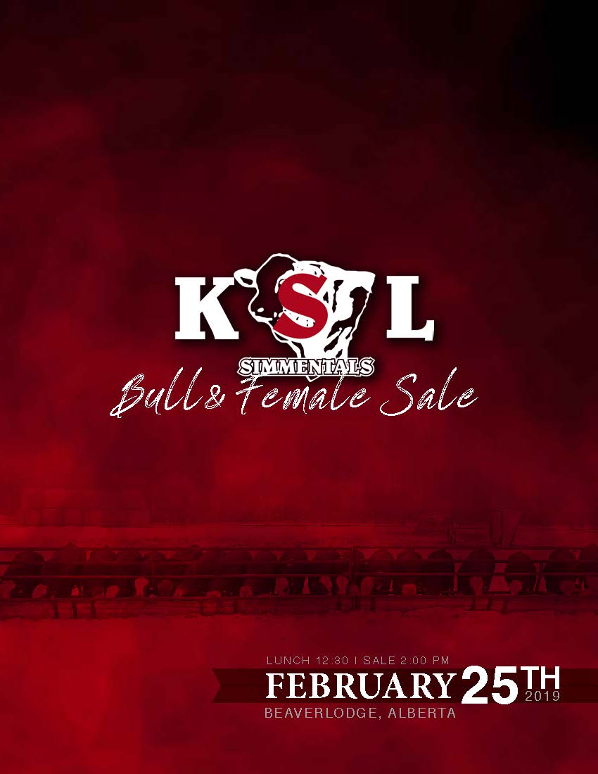 KSL Simmentals Catalogue