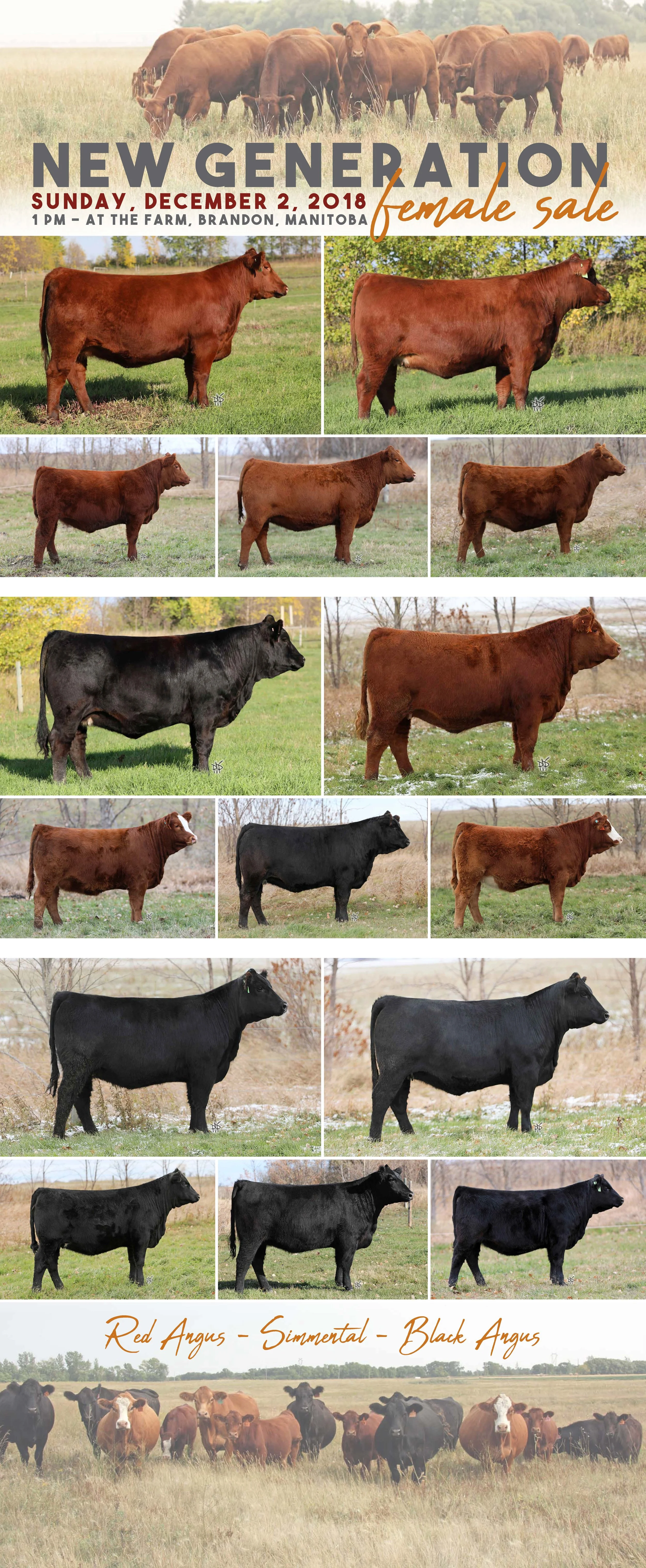 New Generation Female Sale Sign