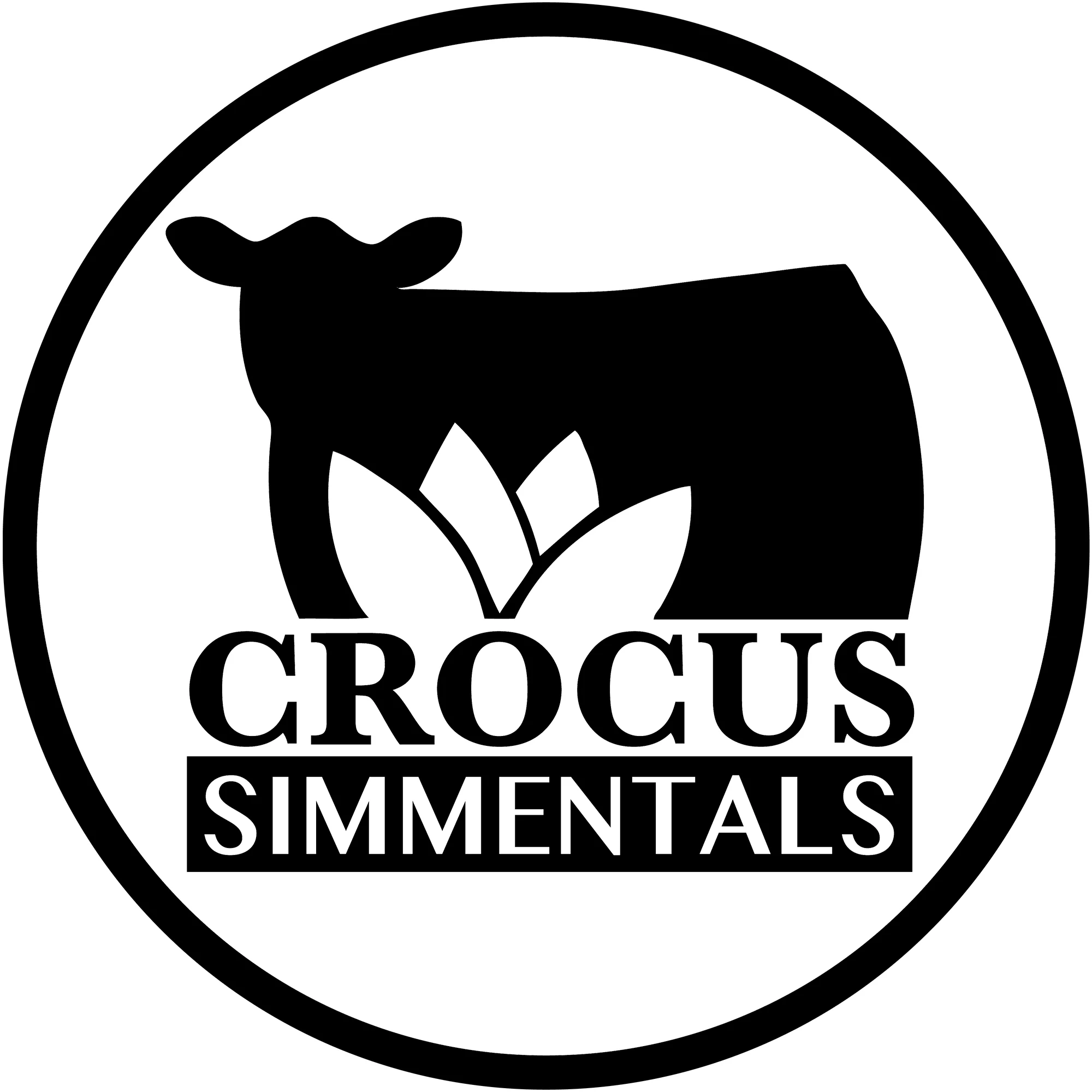 Crocus Simmentals Logo