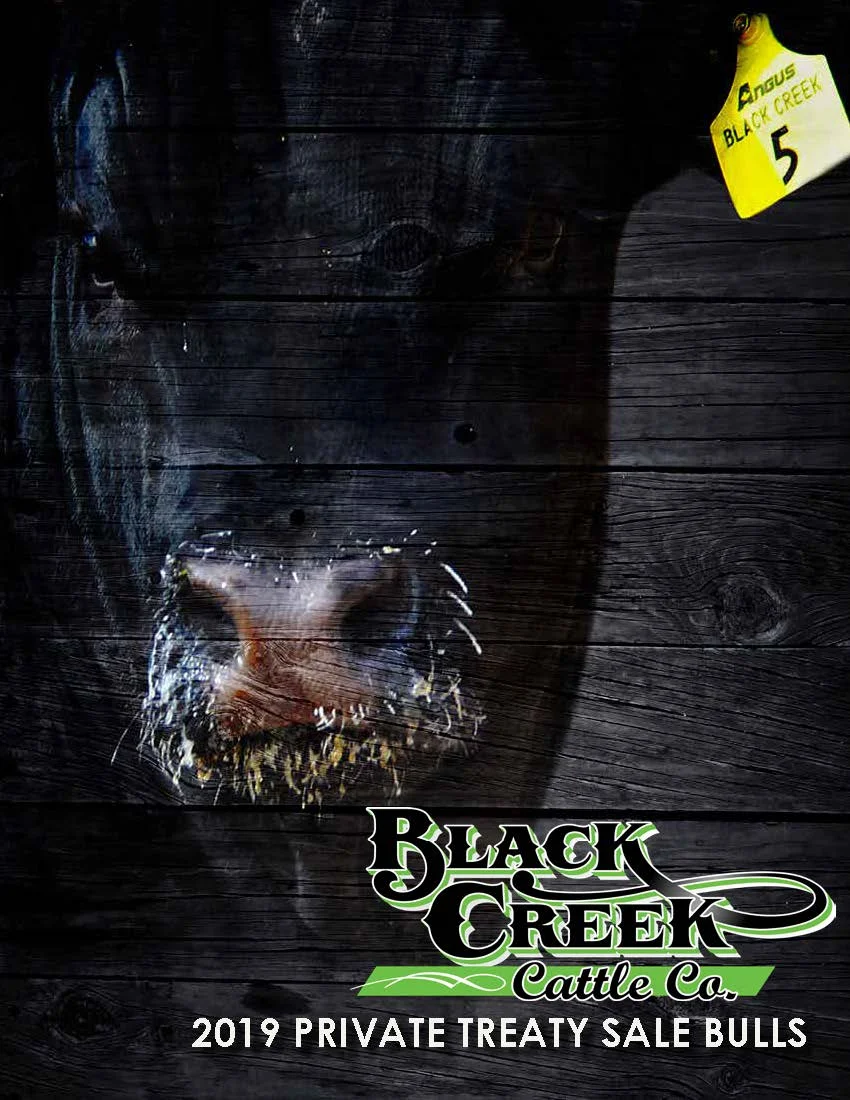 Black Creek Bull Sale Catalogue