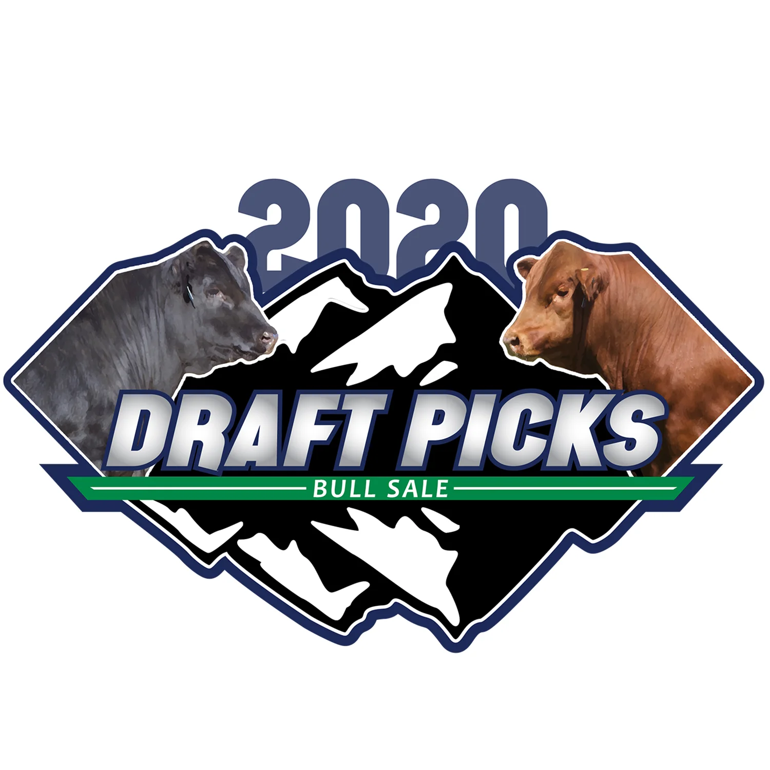 2020 Draft Picks Bull Sale Logo
