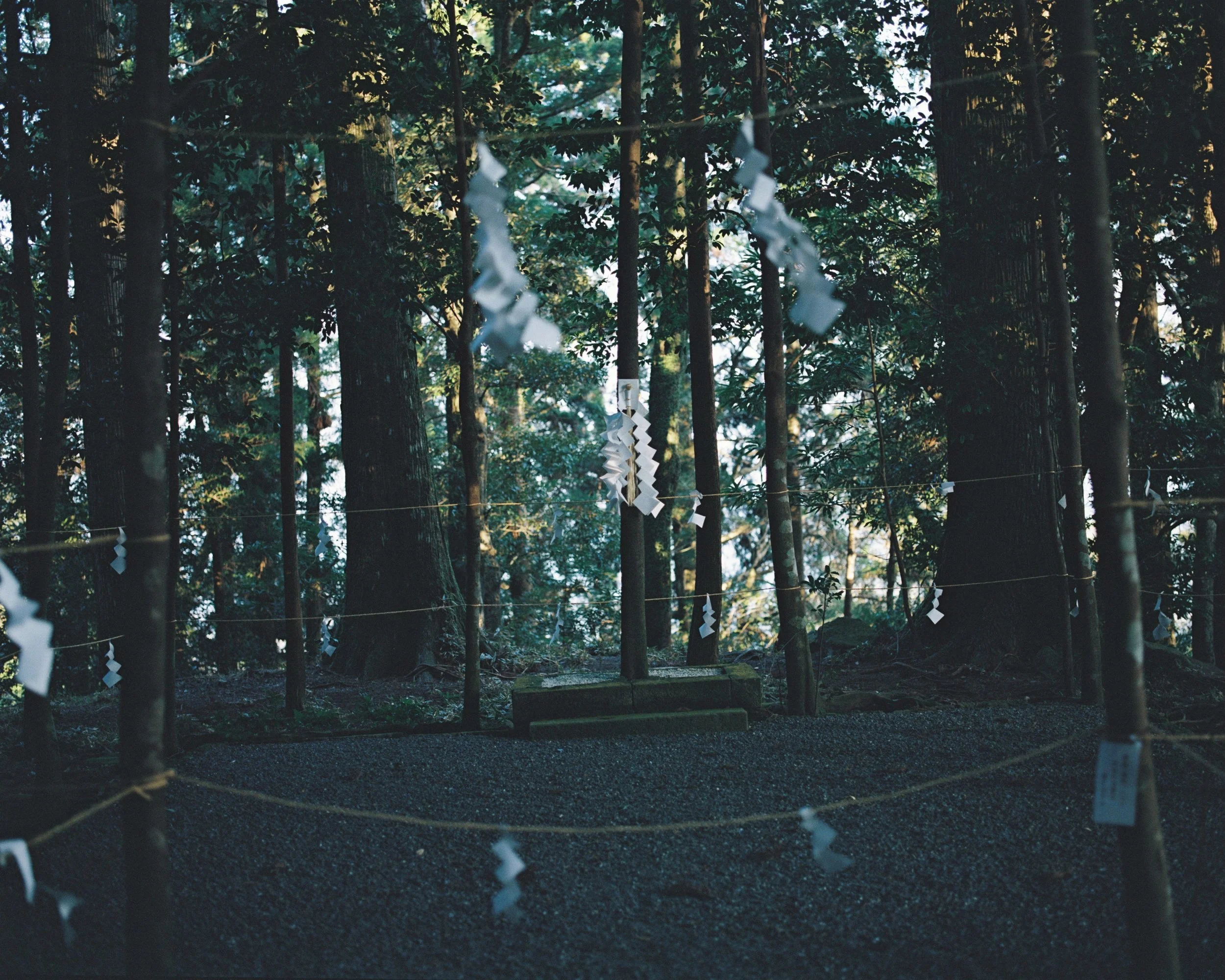 2344_08.JPG
