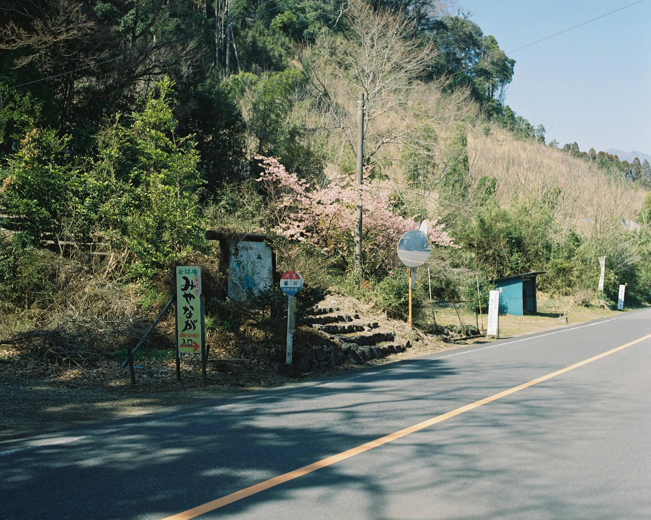 4996_03.jpg