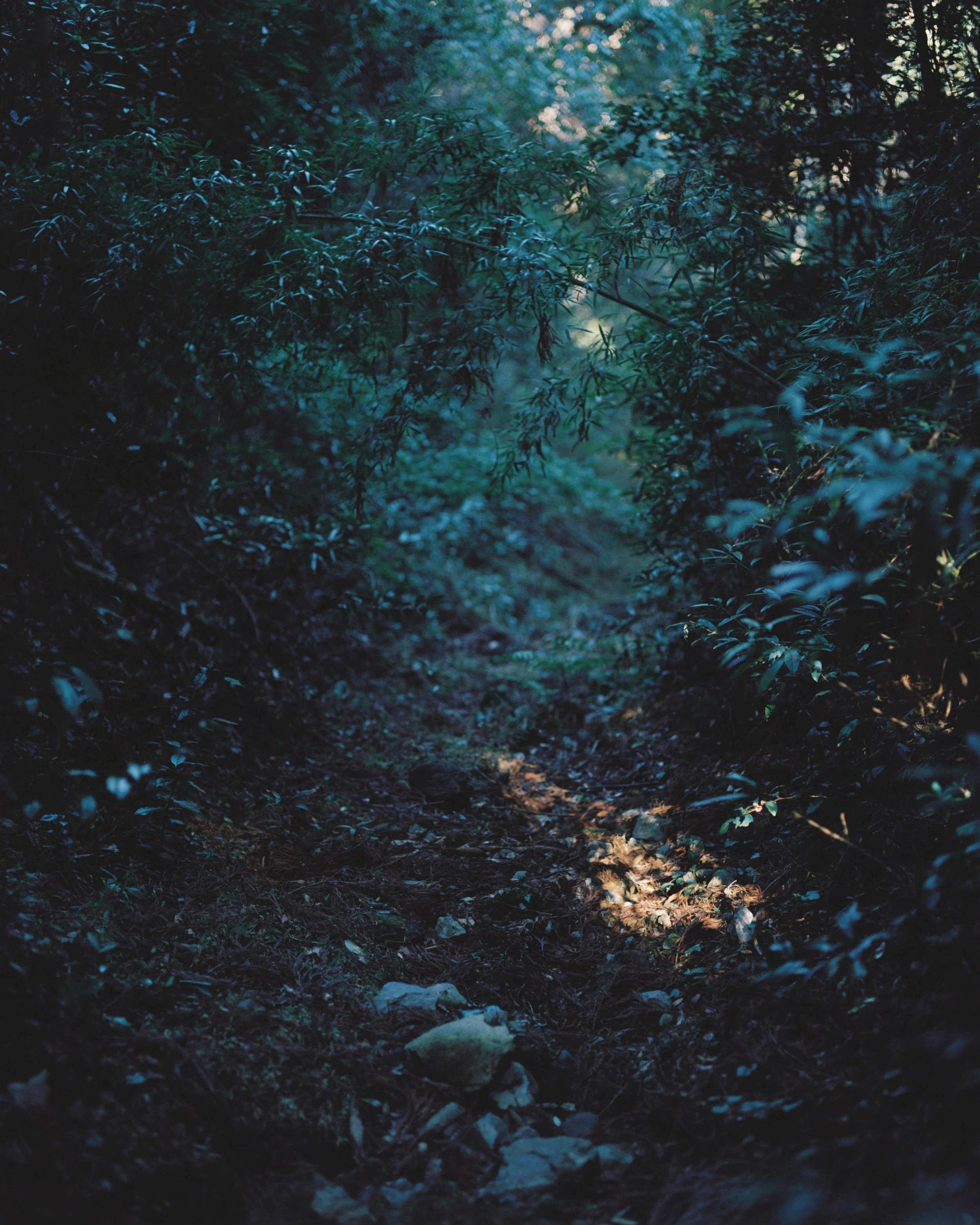 2352_07.JPG