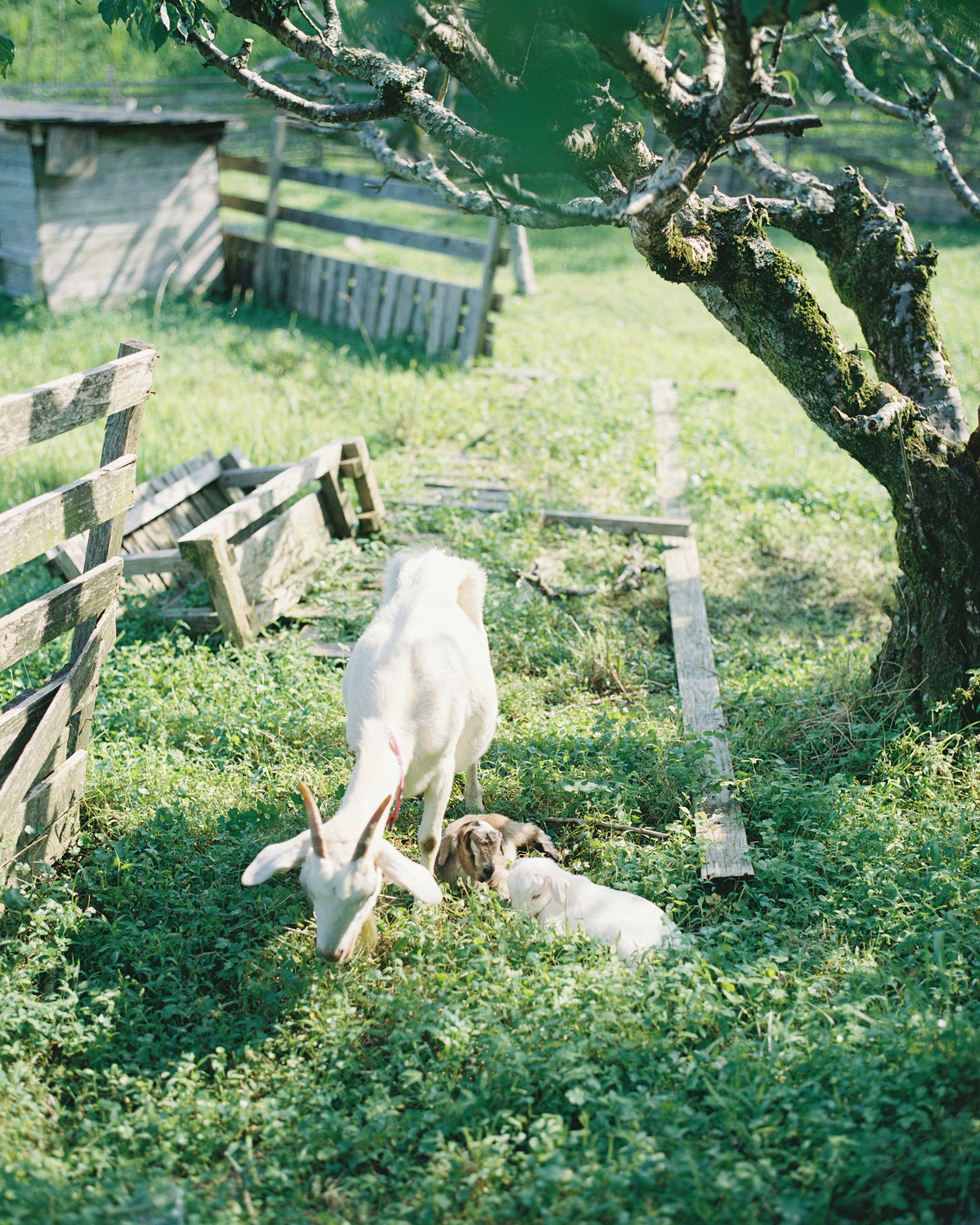 4739_02.JPG