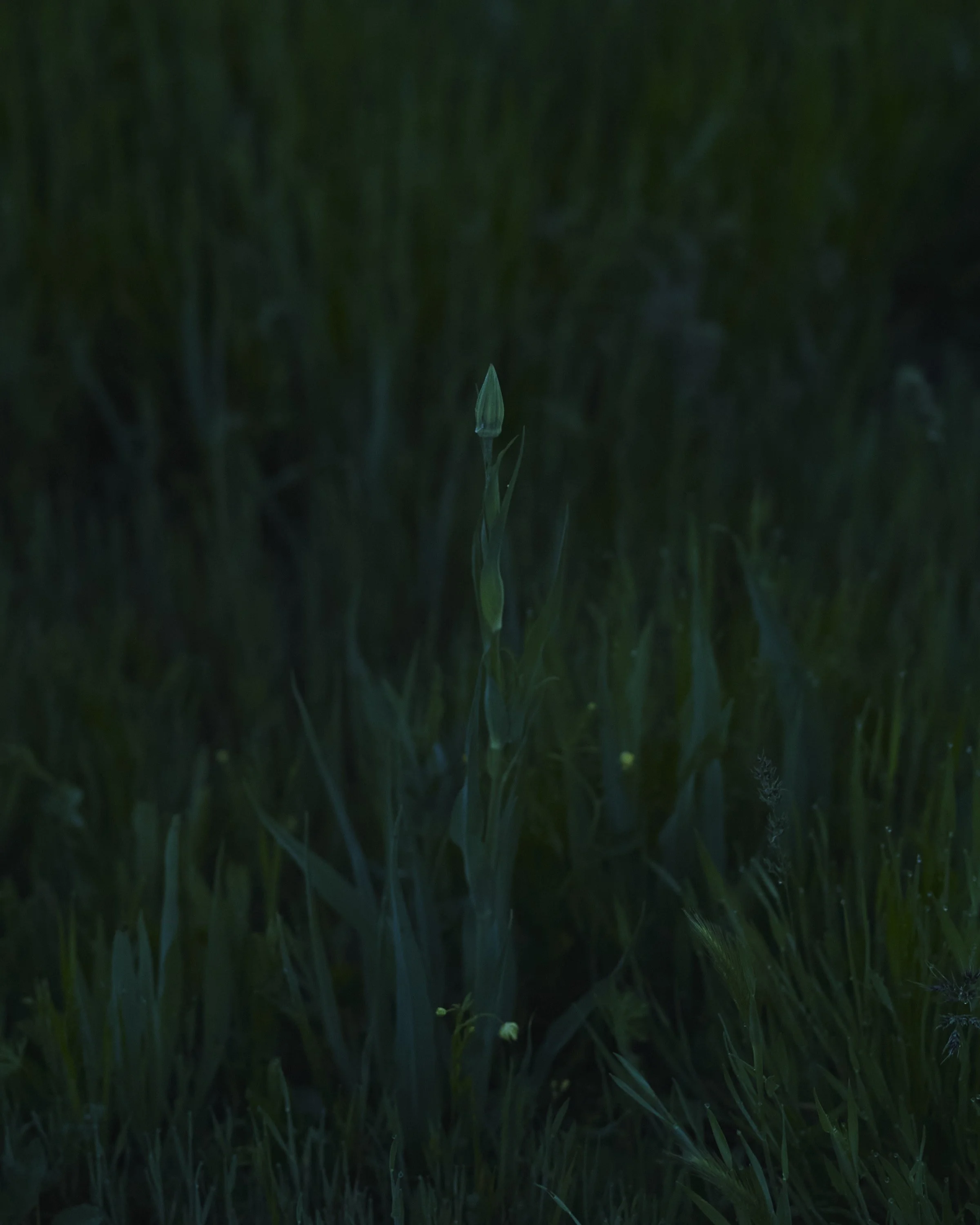 L1059989.jpg