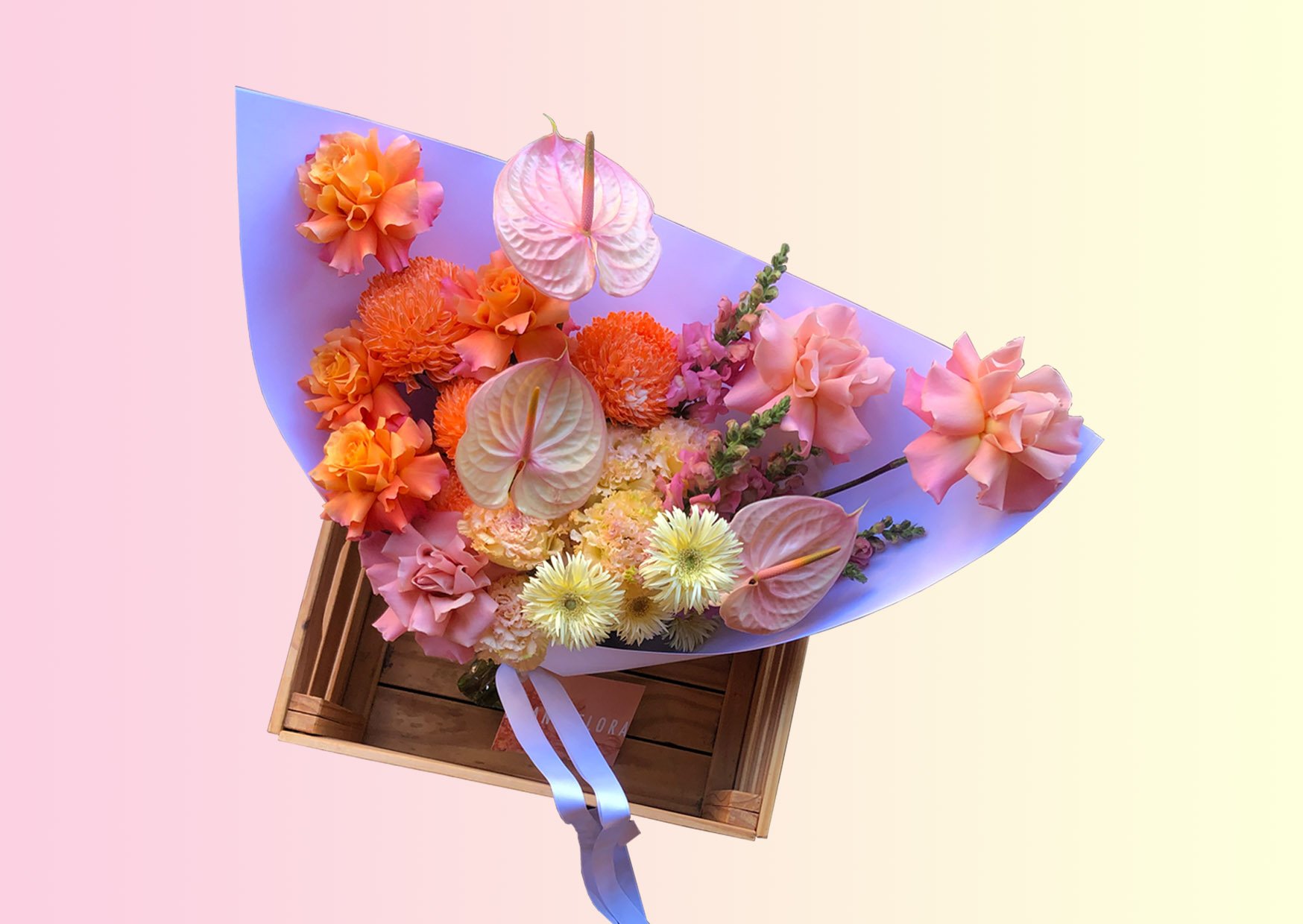 website image .jpg