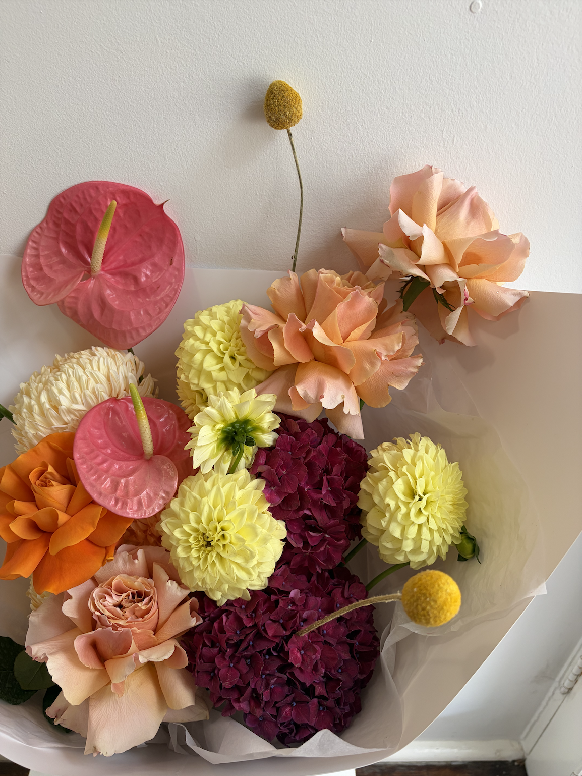 Screenshot 2026-04-18 at 8.56.39 am.png