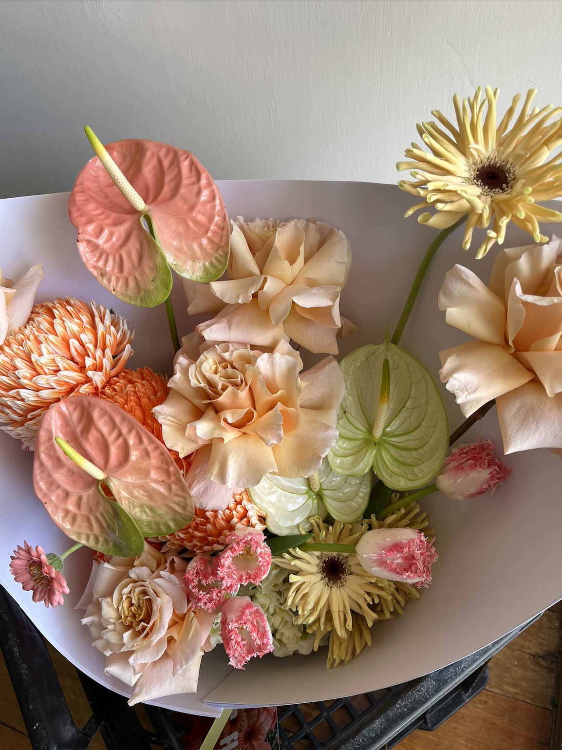 Screenshot 2026-03-29 at 5.18.49 pm.png