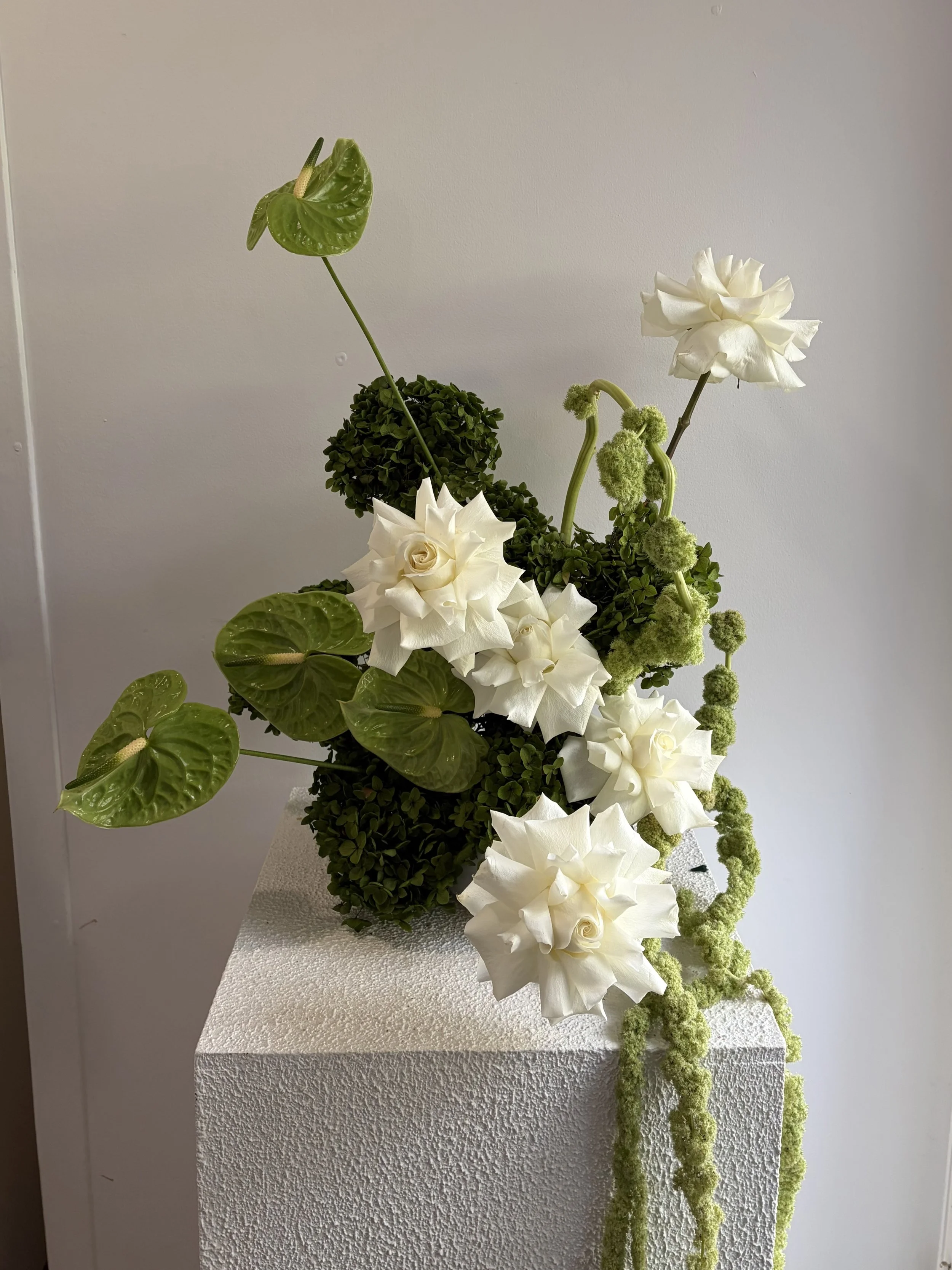 FOCAL ARRANGEMENT