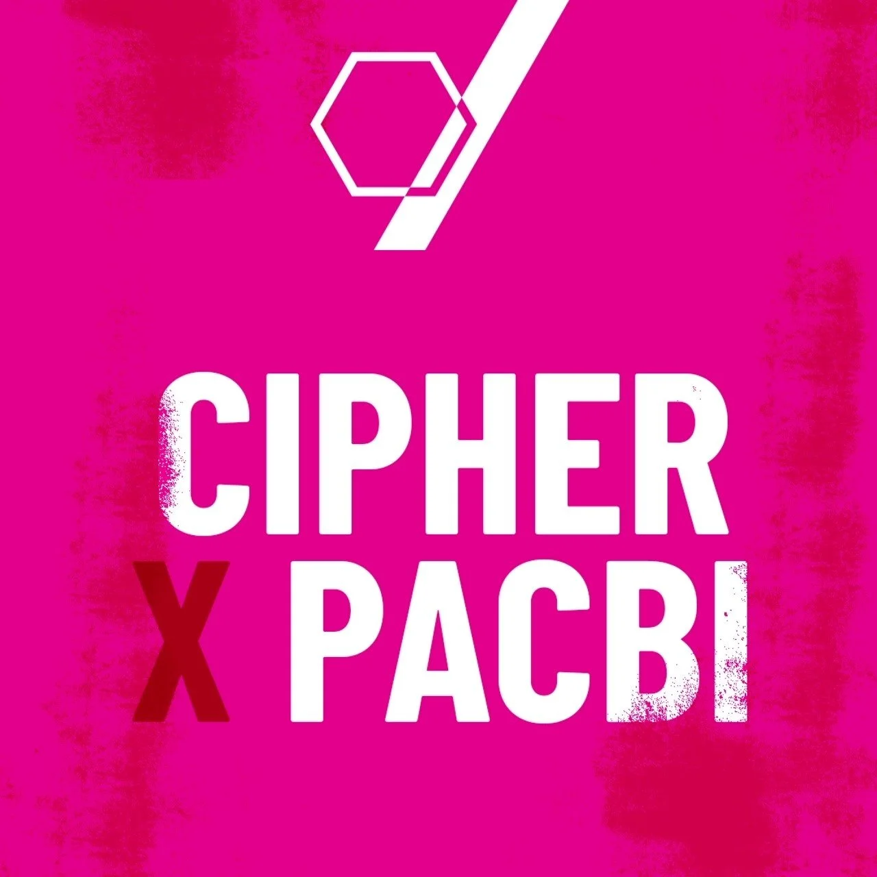 PACBI x Cipher