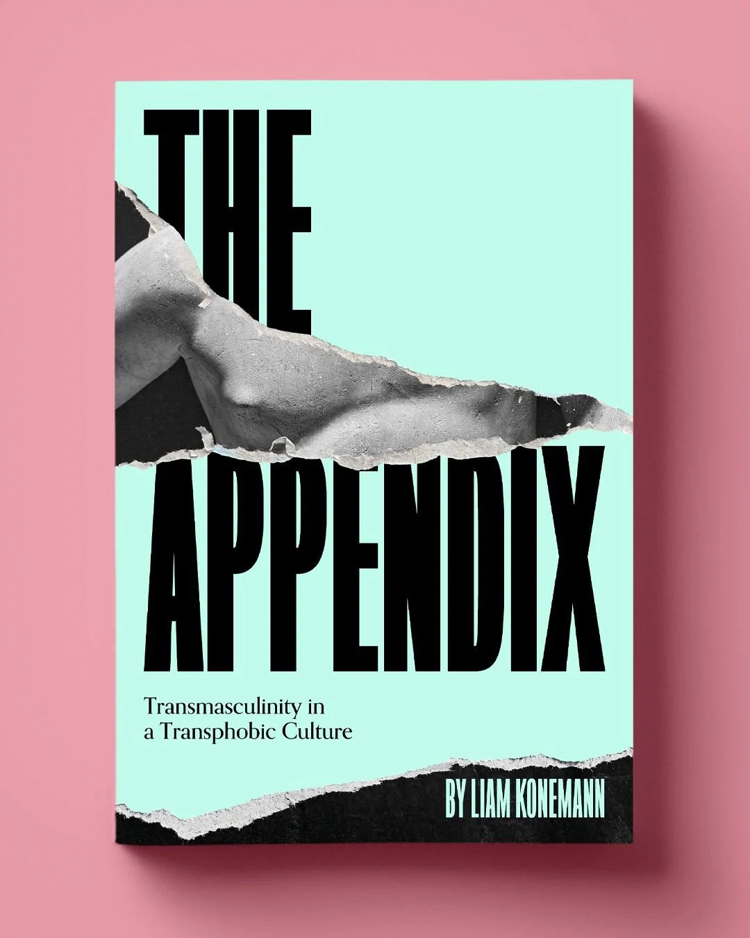 TheAppendix announce.jpg