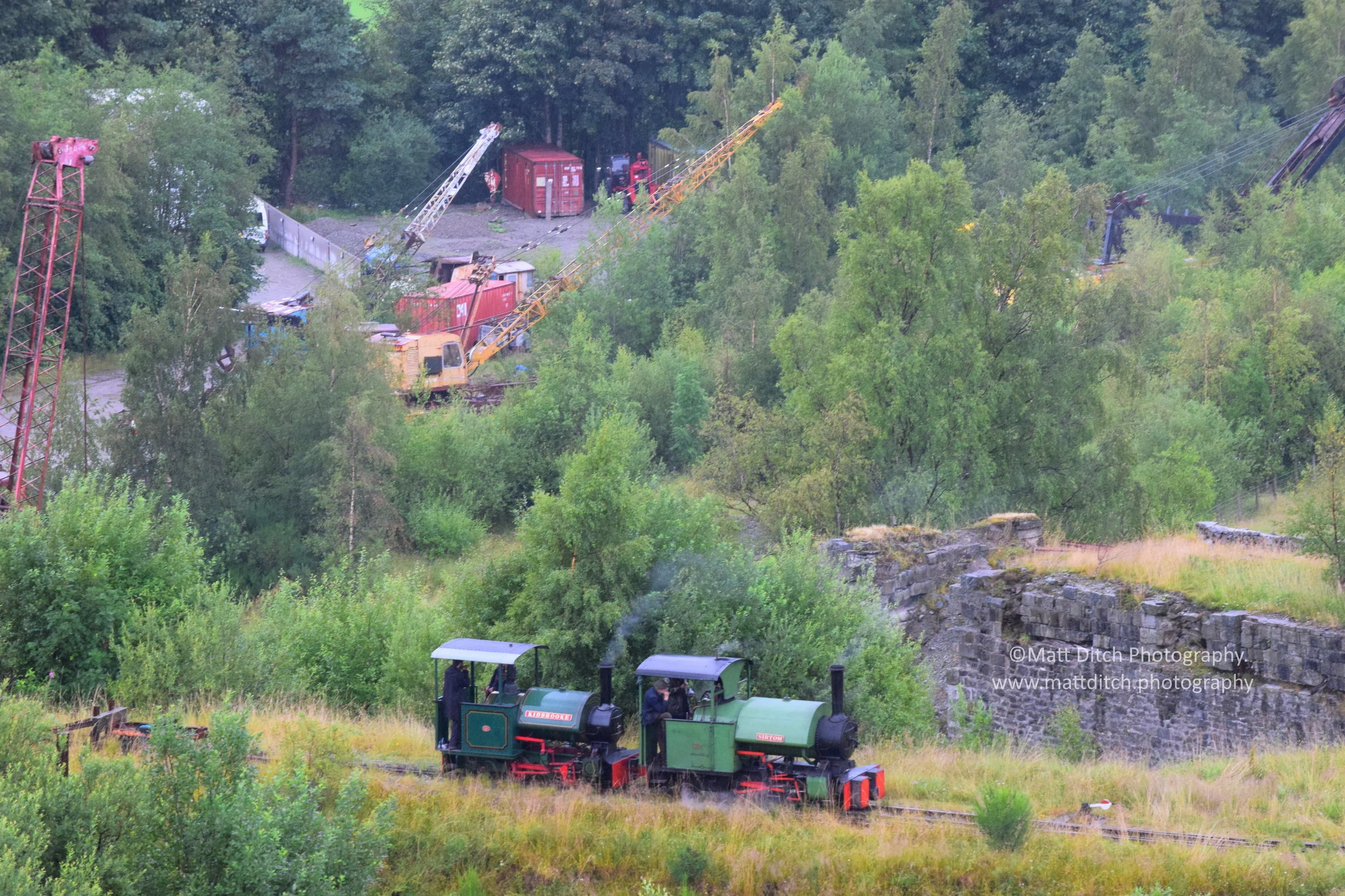  “Kidbrooke” and “Sir Tom” on the headshunt. 