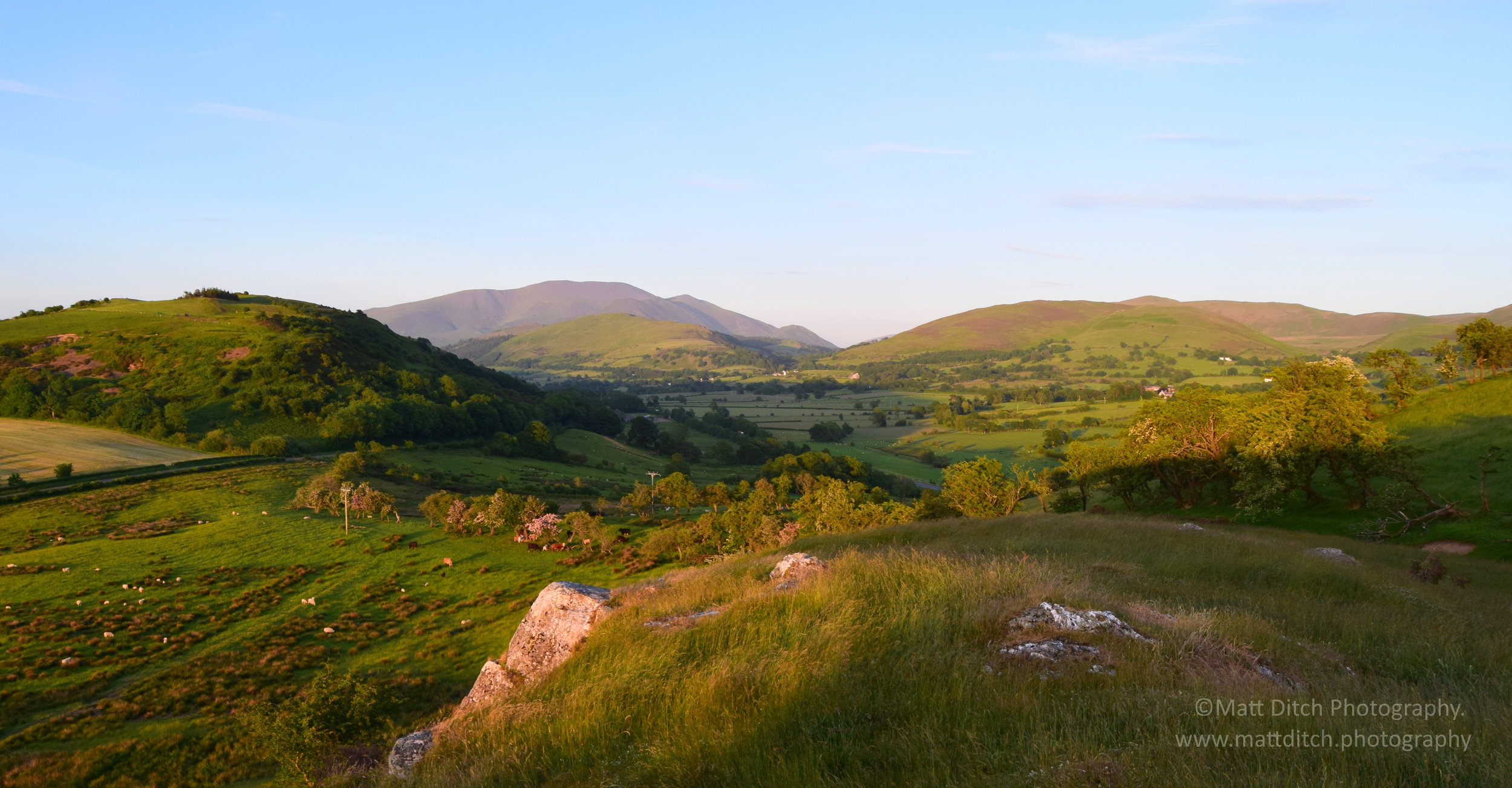  View towards Skiddaw and Bassenthwaite.  
