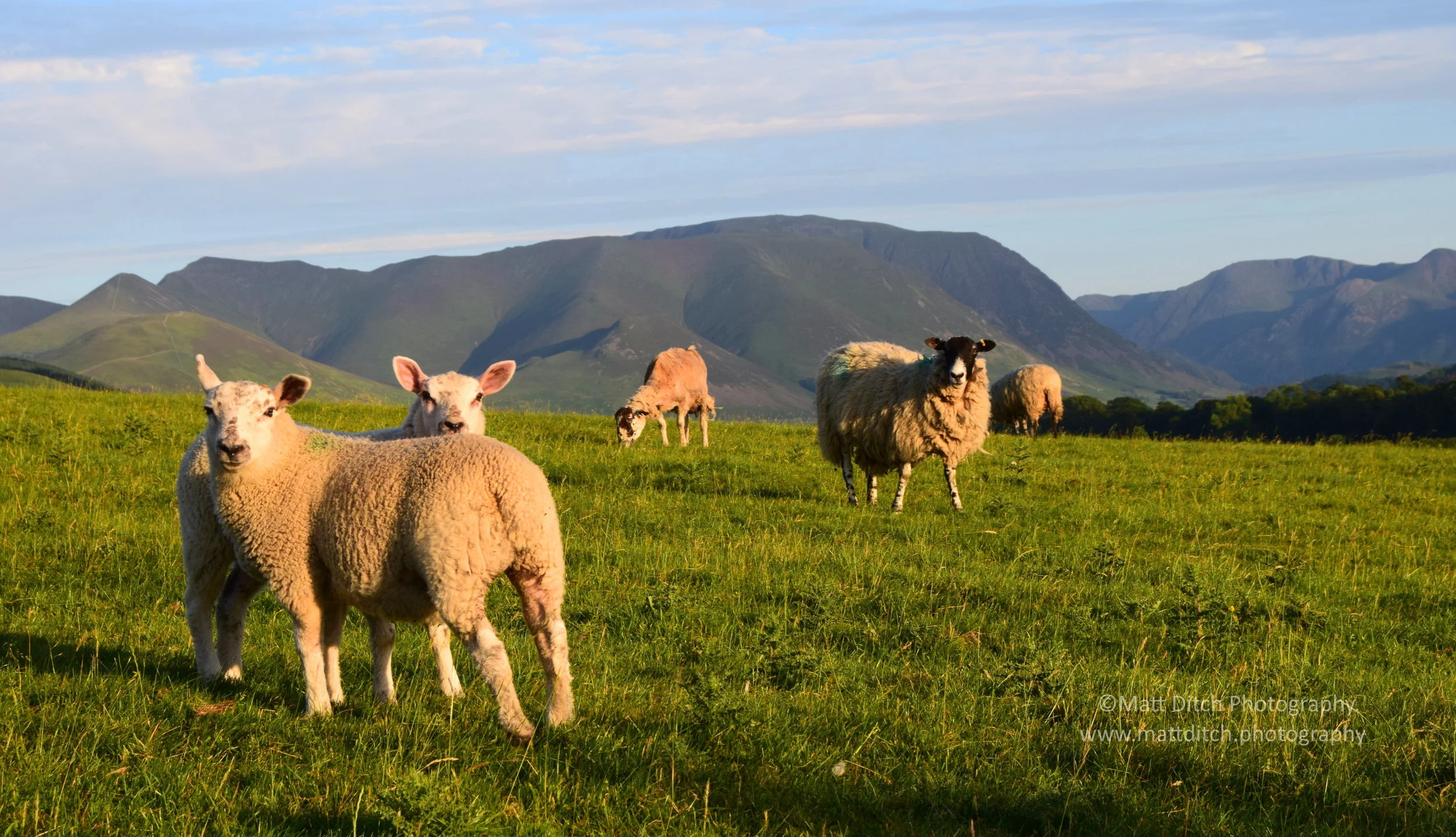  Looking towards Grassmoor. 