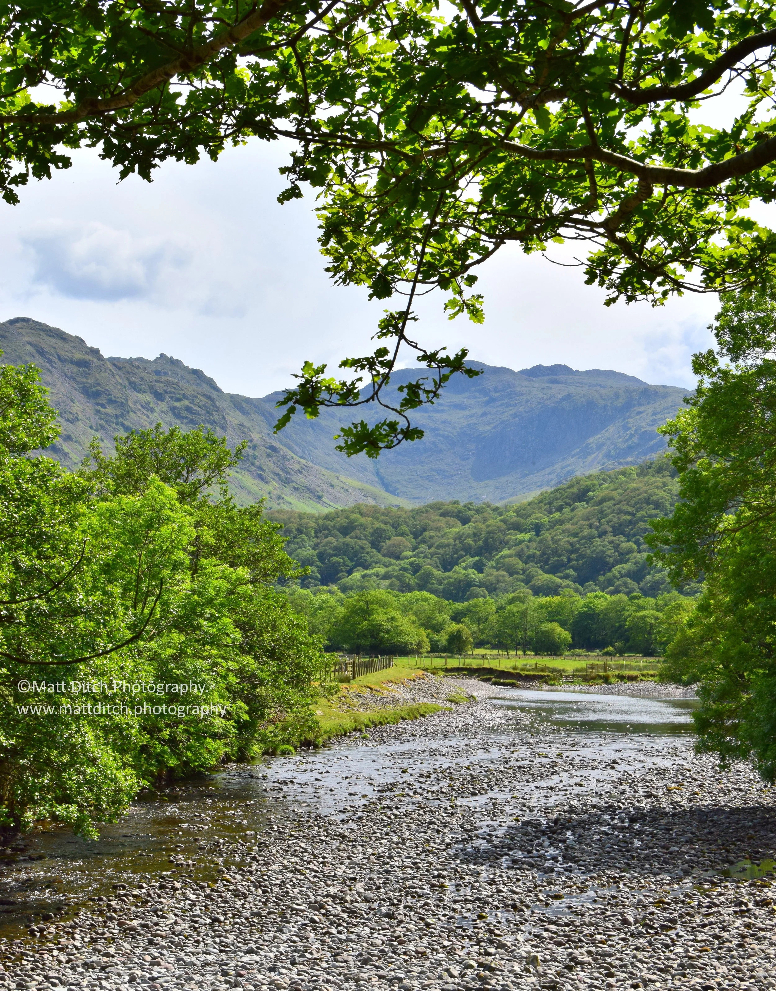 The River Derwent near Grange. 
