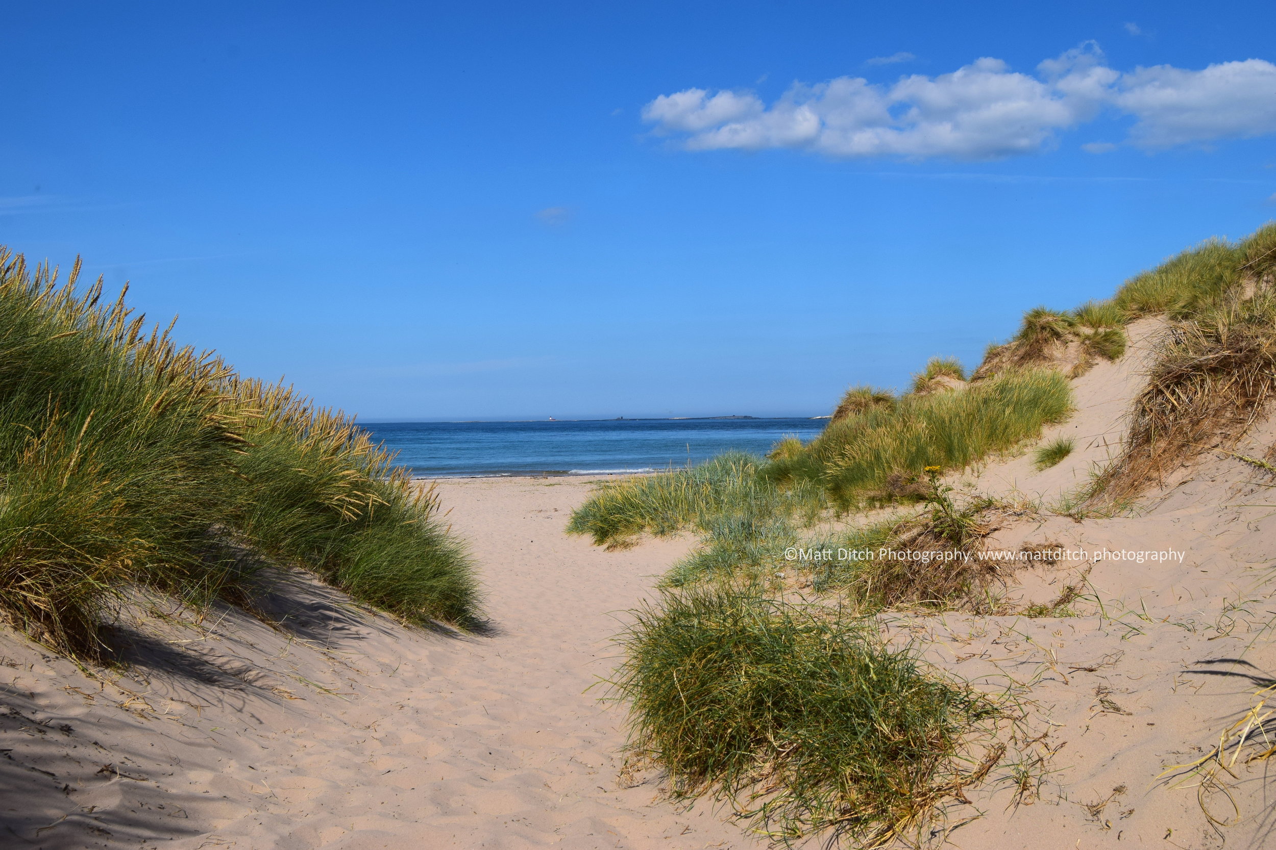  Looking towards the Farne Islands. 