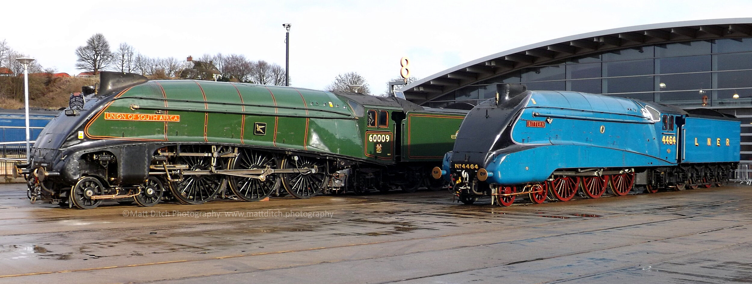  Union of South Africa &amp; Bittern    