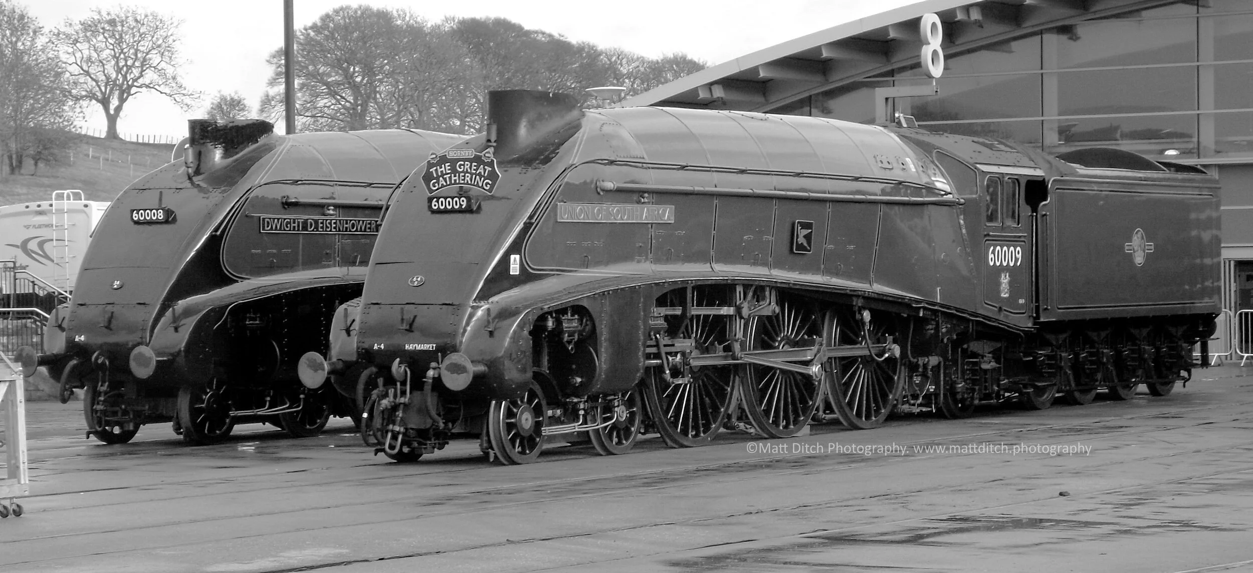  Dwight D. Eisenhower &amp; Union of South Africa  