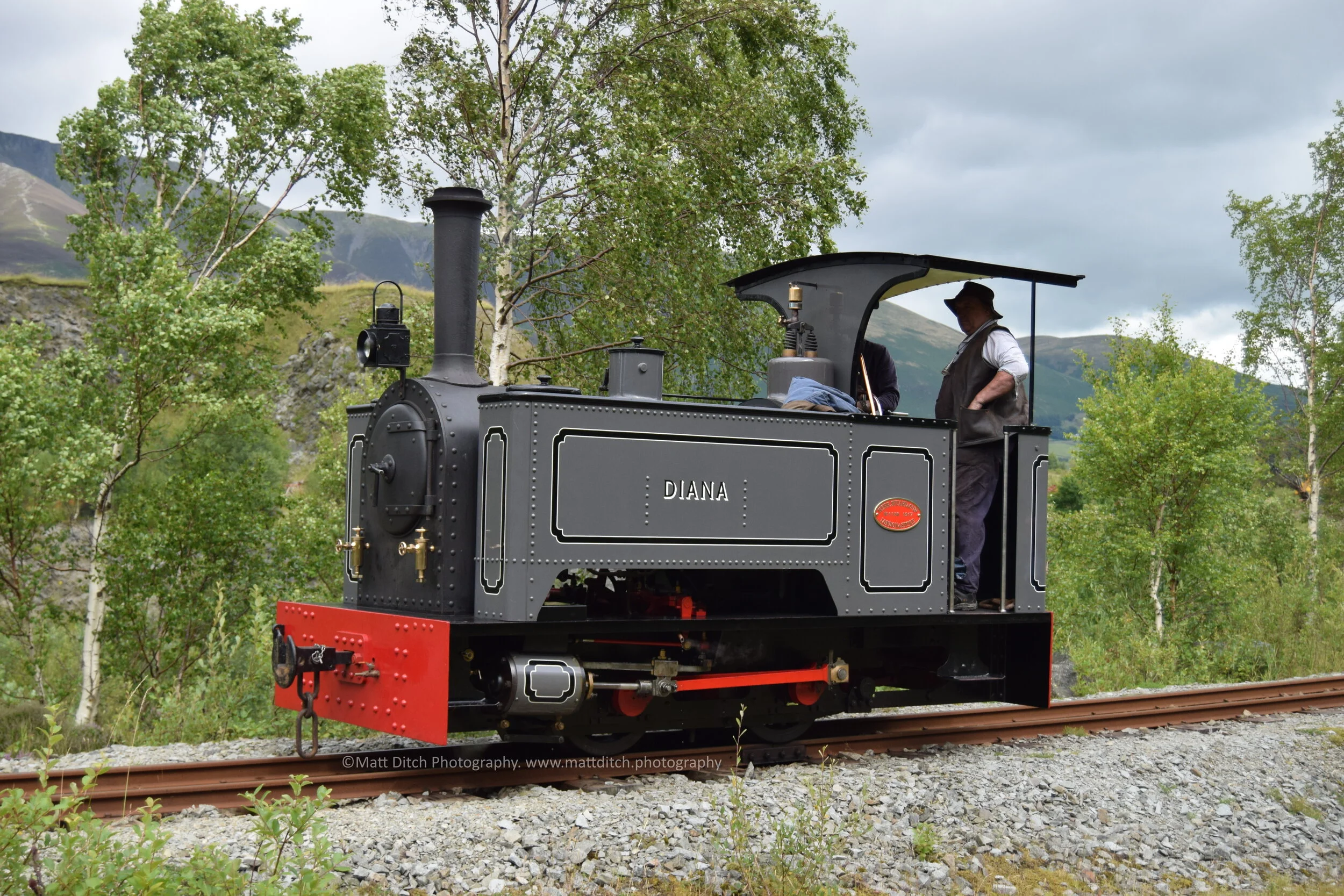 "Diana" running round in the quarry.