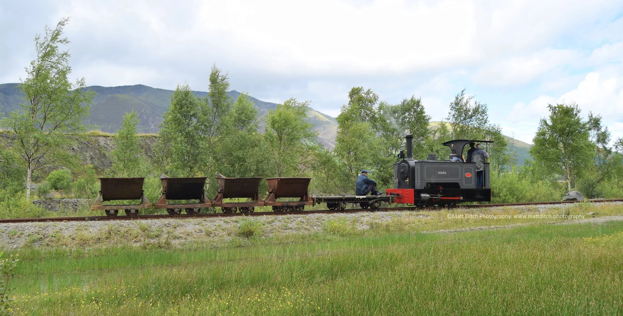 "Diana" on a demonstration freight train 