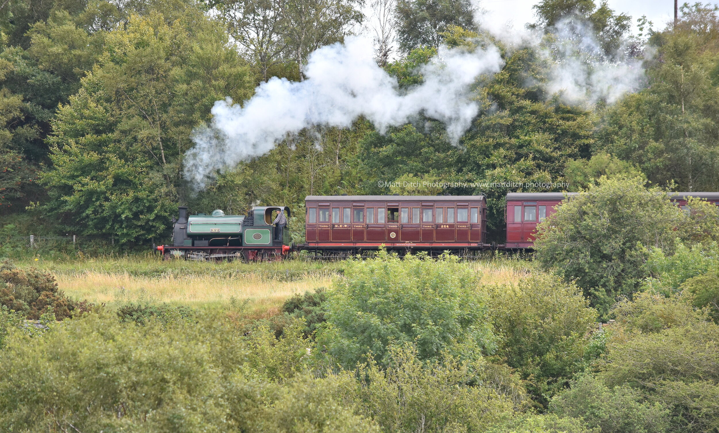 No.2 between Causey & Andrews House
