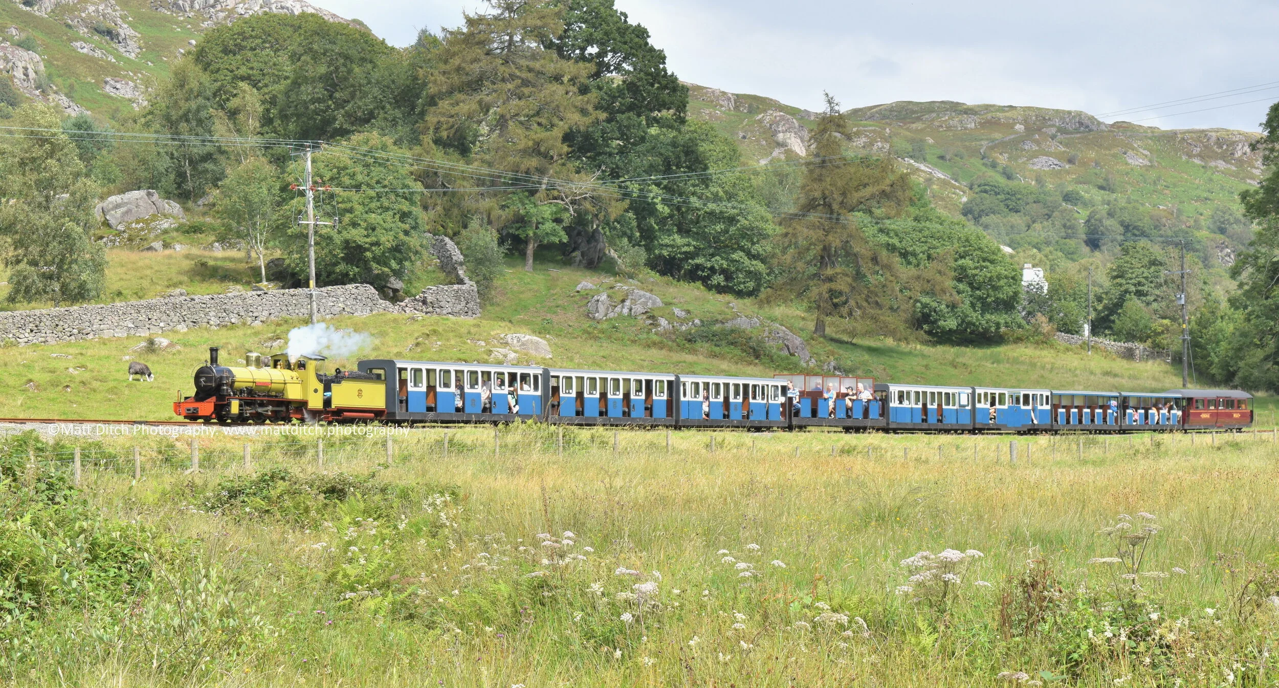 "Northern Rock" descends Hollin how bank with a train from Dalegarth