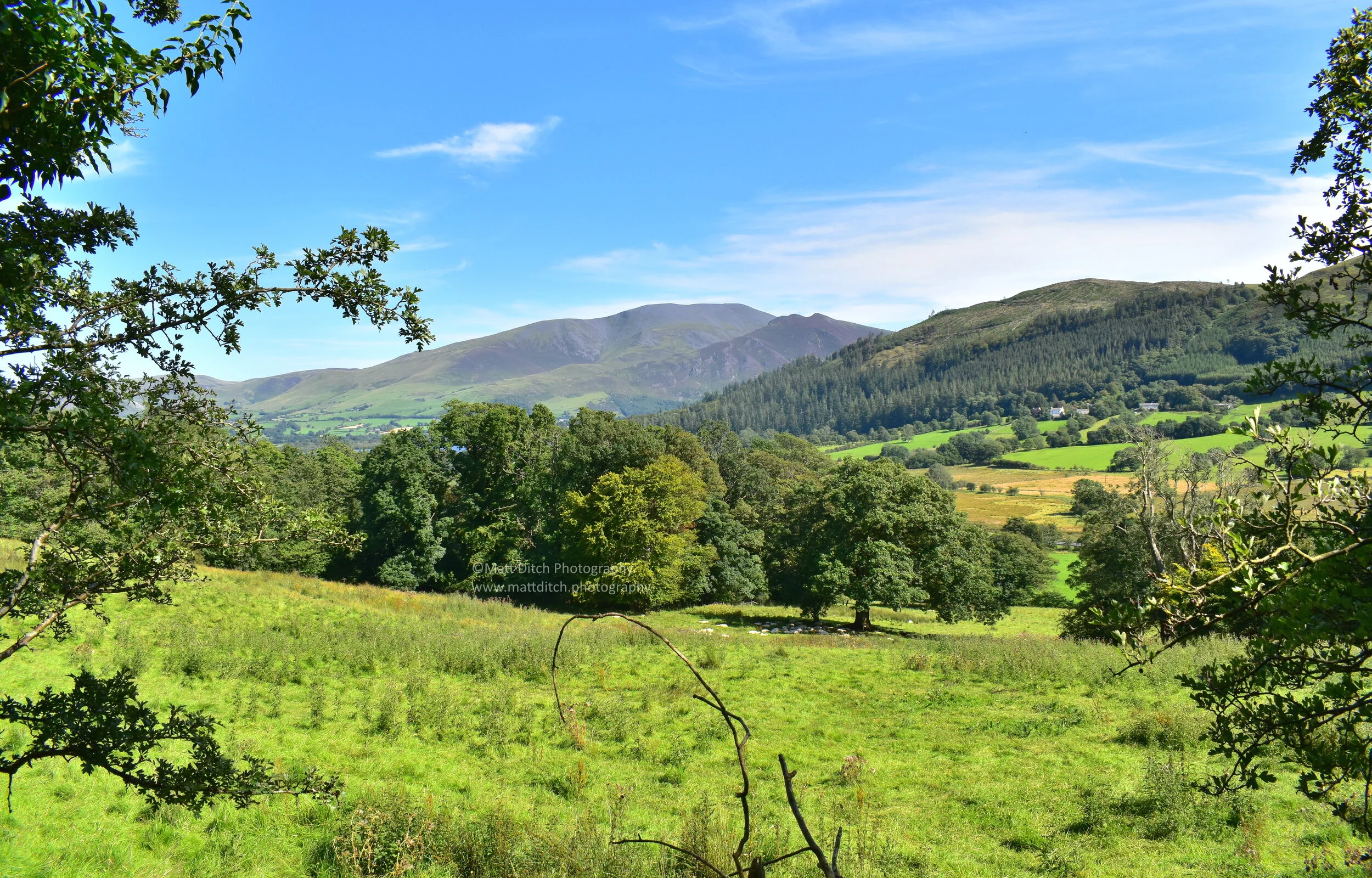 Skiddaw from near Higham Hall