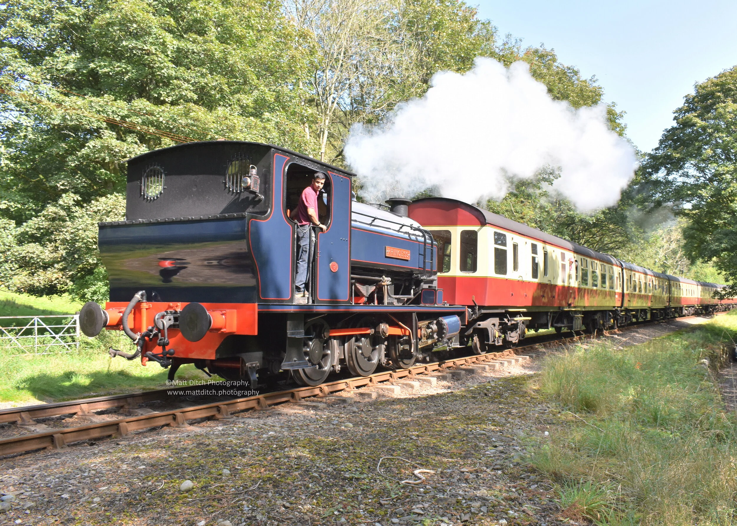Passing Newby Bridge with a train for Haverthwaite. 