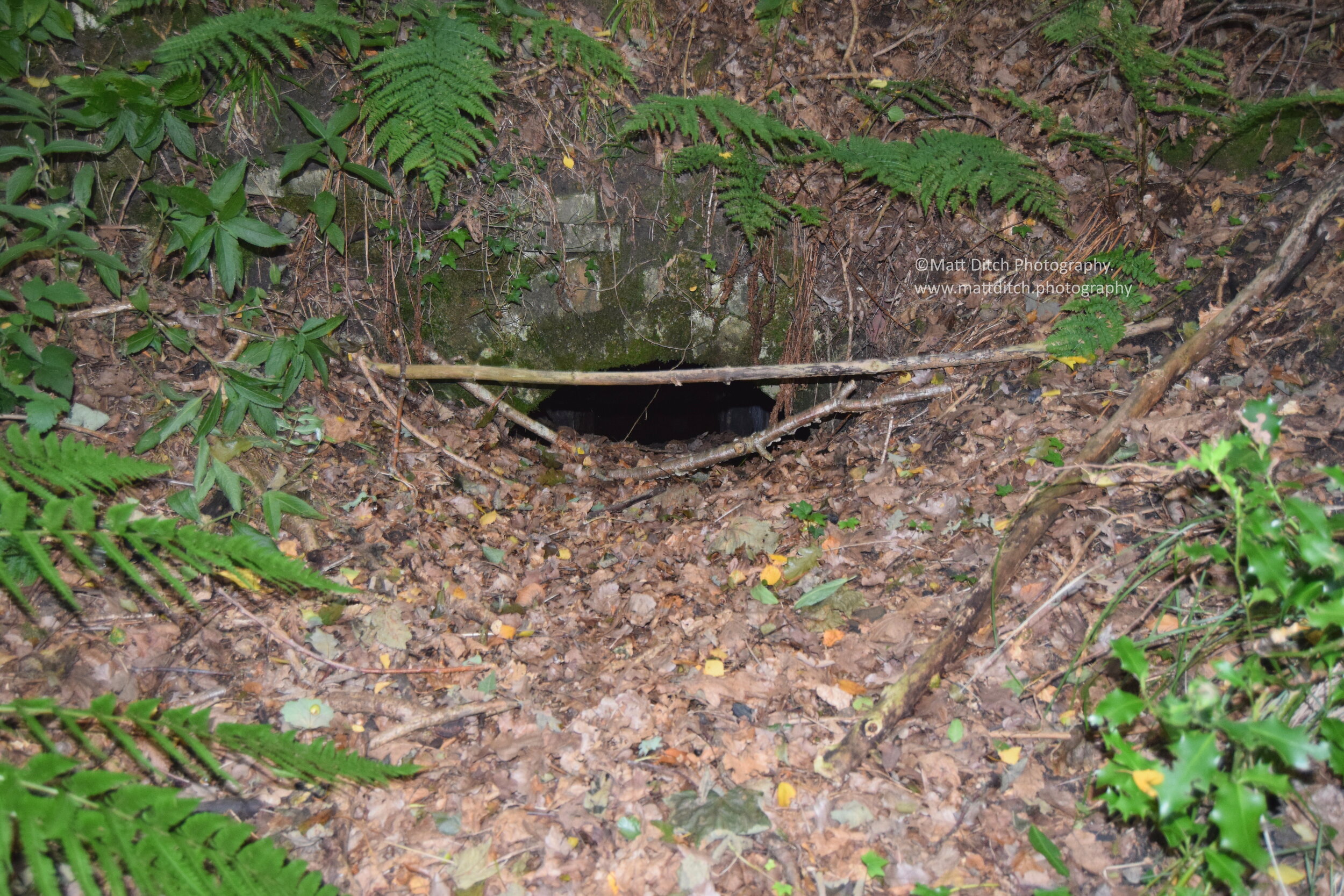 First drift mine enterance