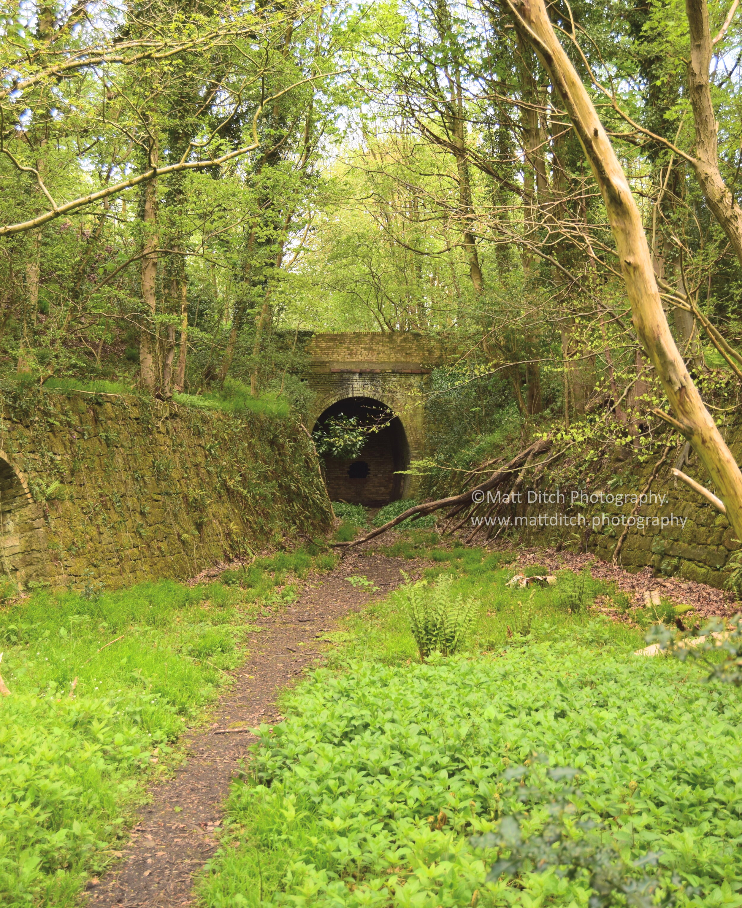  The Tunnel as it is today, notice how the once bricked up entrance has had a hole smashed into it.   