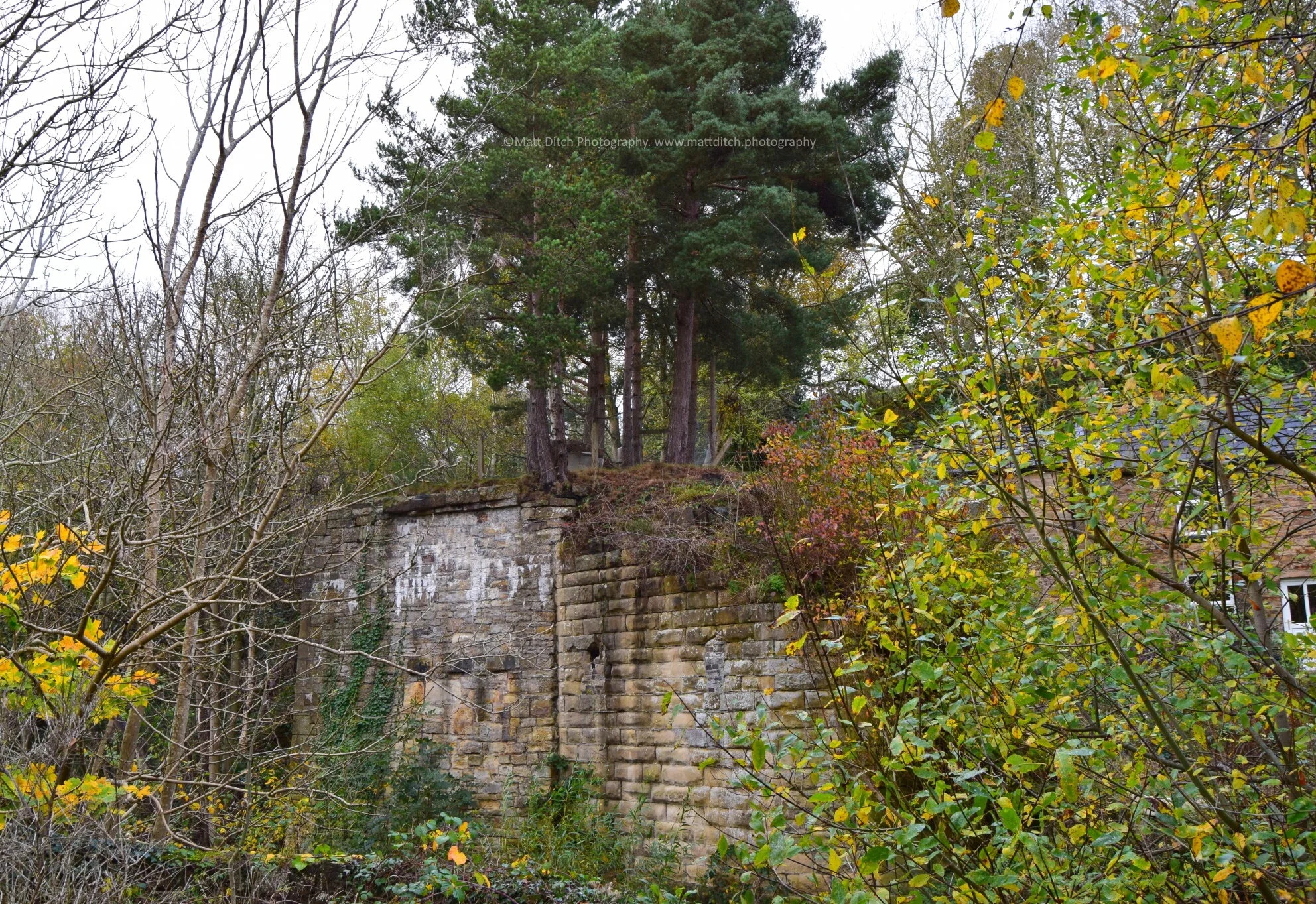  To gain access to the trackbed one must cross the footbridge that links to the row of cottages, this bridge appears to have been constructed from narrow gauge rails . The path then swings behind the cottages before climbing to meet the trackbed as i