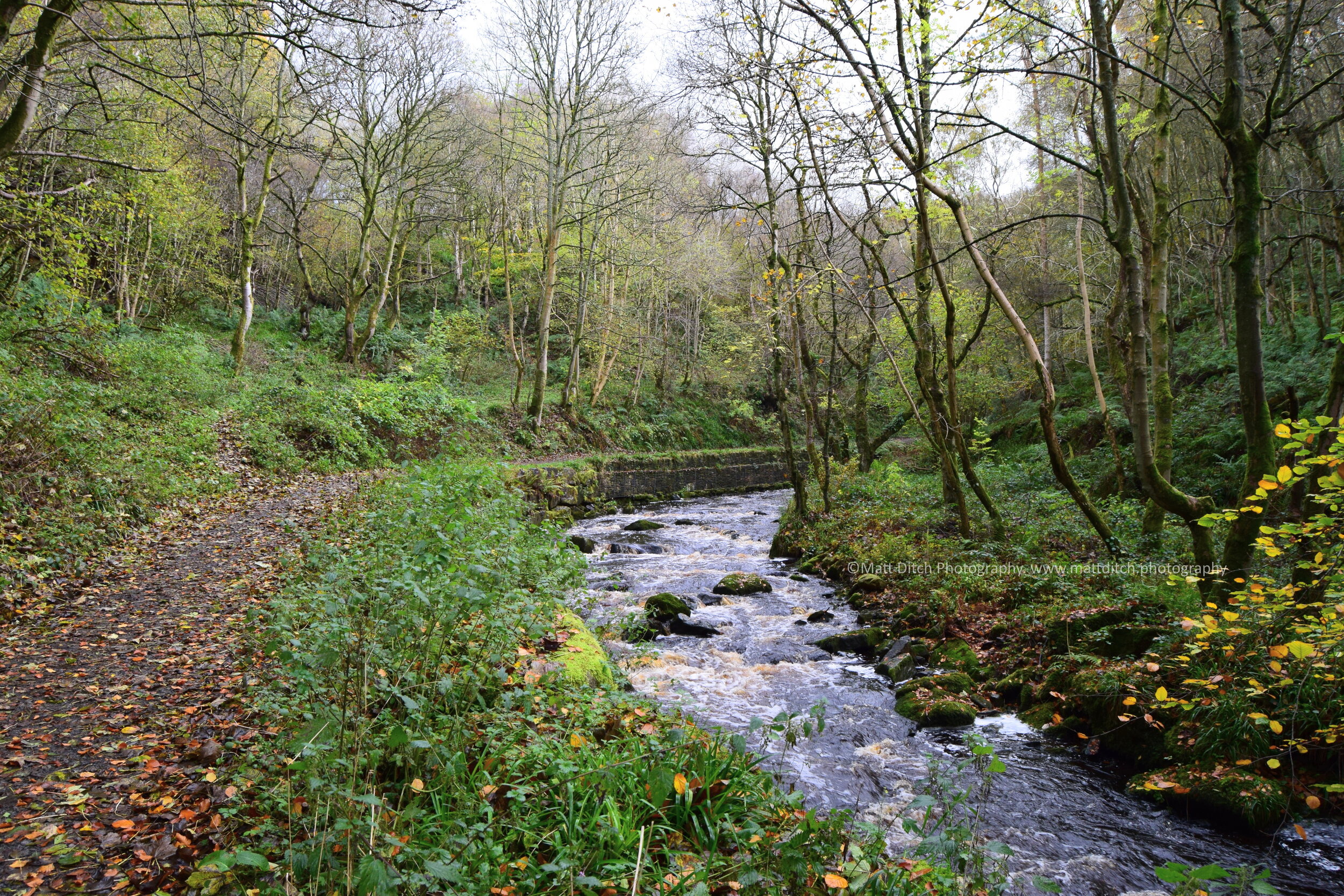  Continuing past the site of South Tyne Colliery the railway passed High Mill yard and crossed the burn on High Mill bridge. The orignal bridge was built from reclaimed tram track. A gate was fitted here to stop wandering farm animals.The above pictu