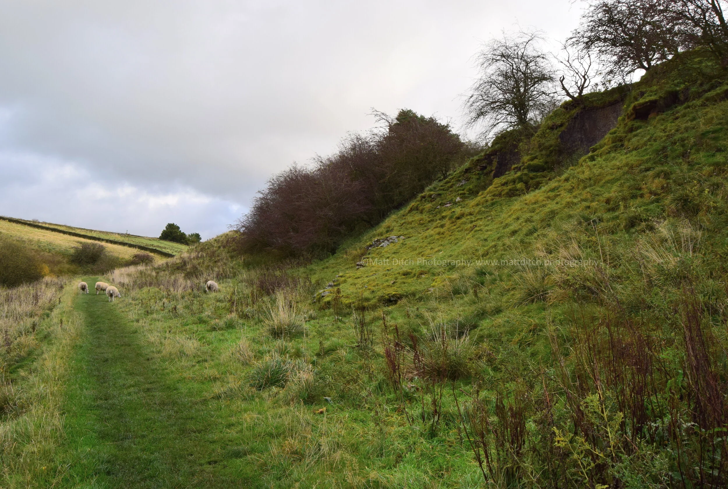  From the Fell Chimney the burn starts to open up and the trackbed passes a number of lime kilns. The coal used to fire these Kilns came from the nearby Fell drift. A holiday home, now presumed abandoned was built towards the end of the burn at some 