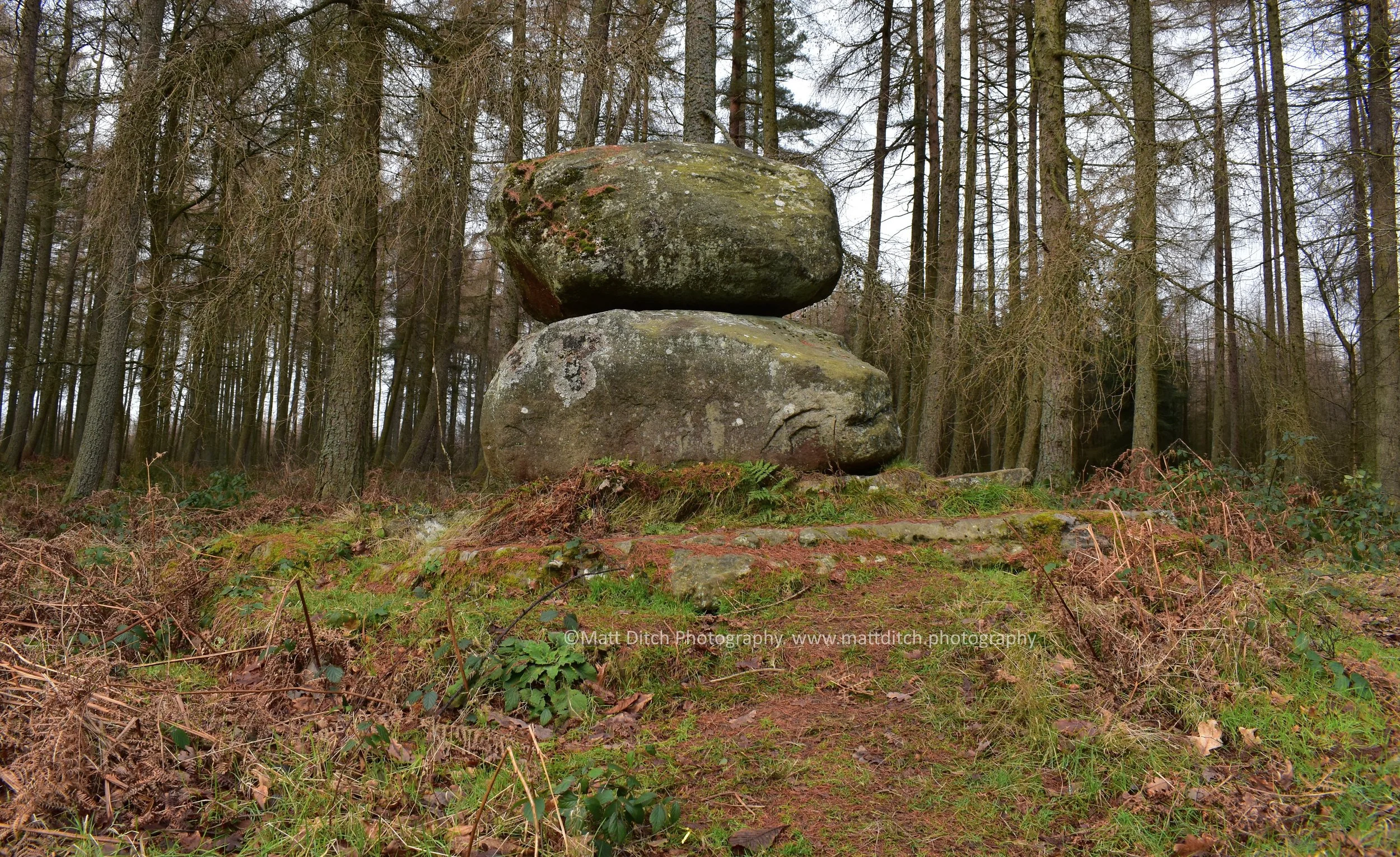 DSC_0282.jpg