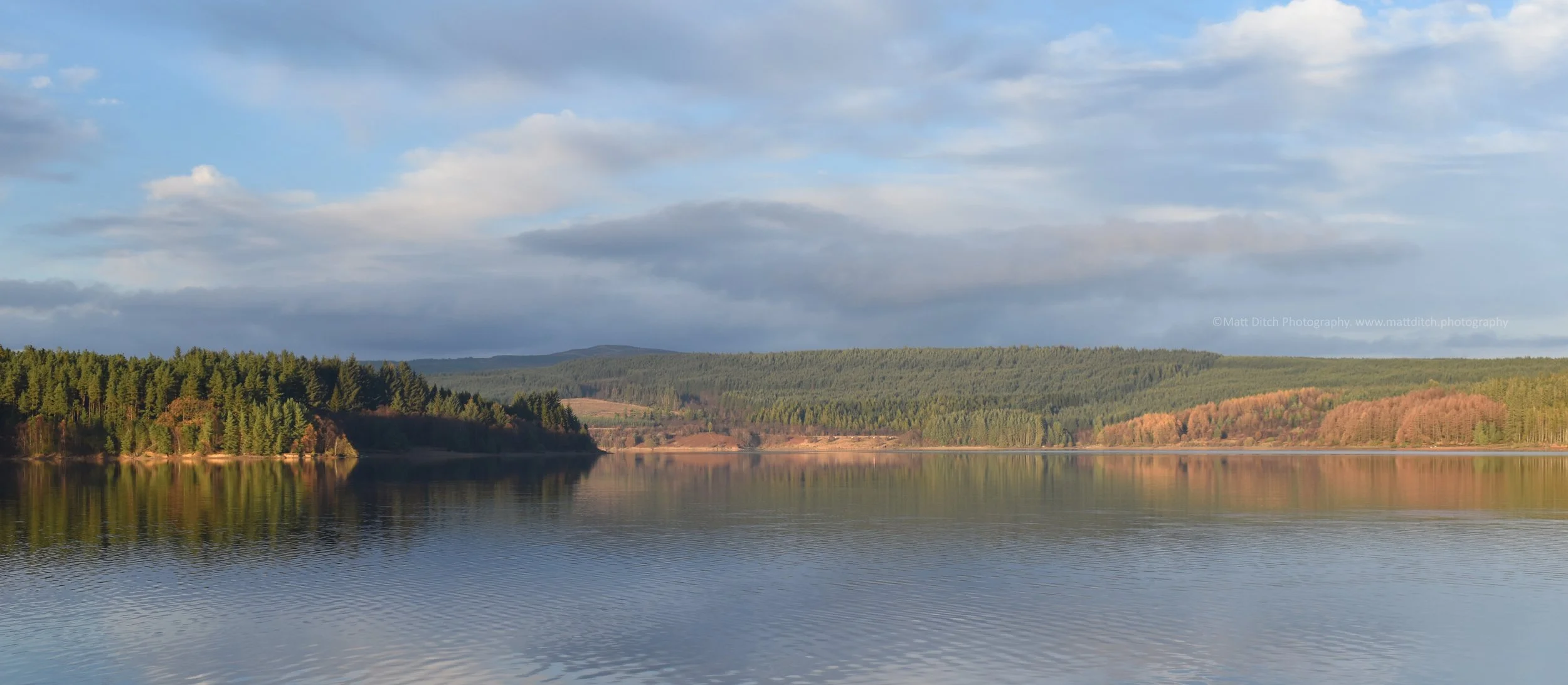 DSC_0042.jpg