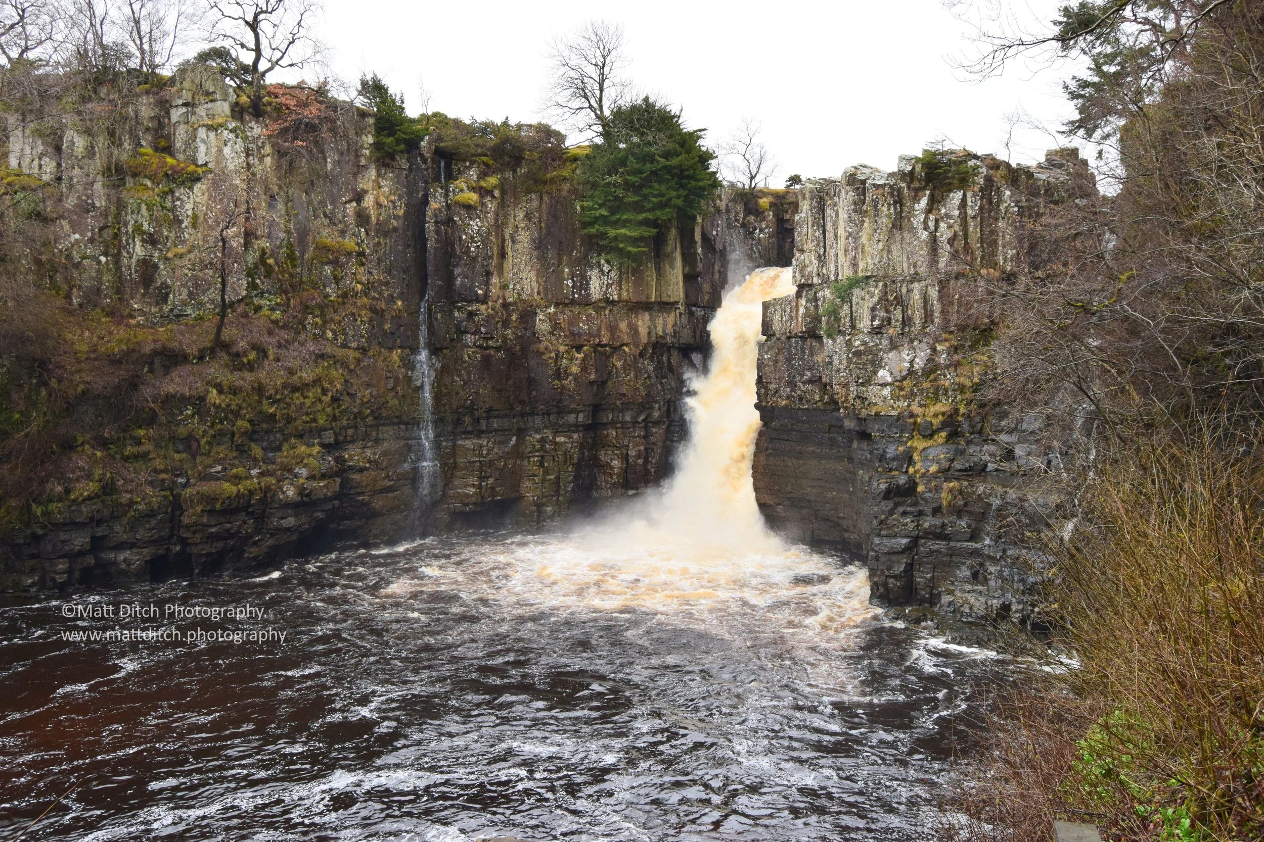DSC_0128.JPG