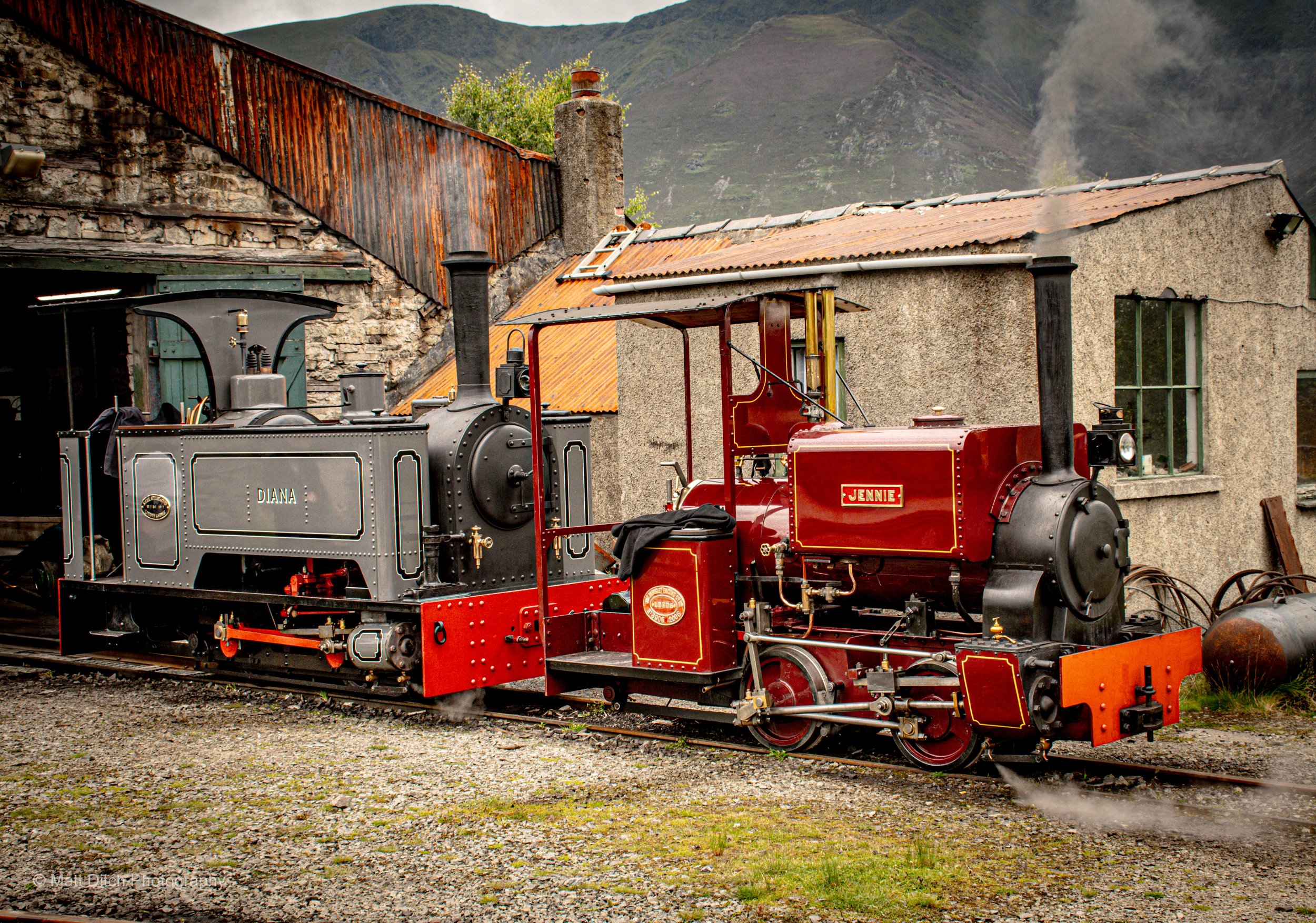 tqr25-7.jpg