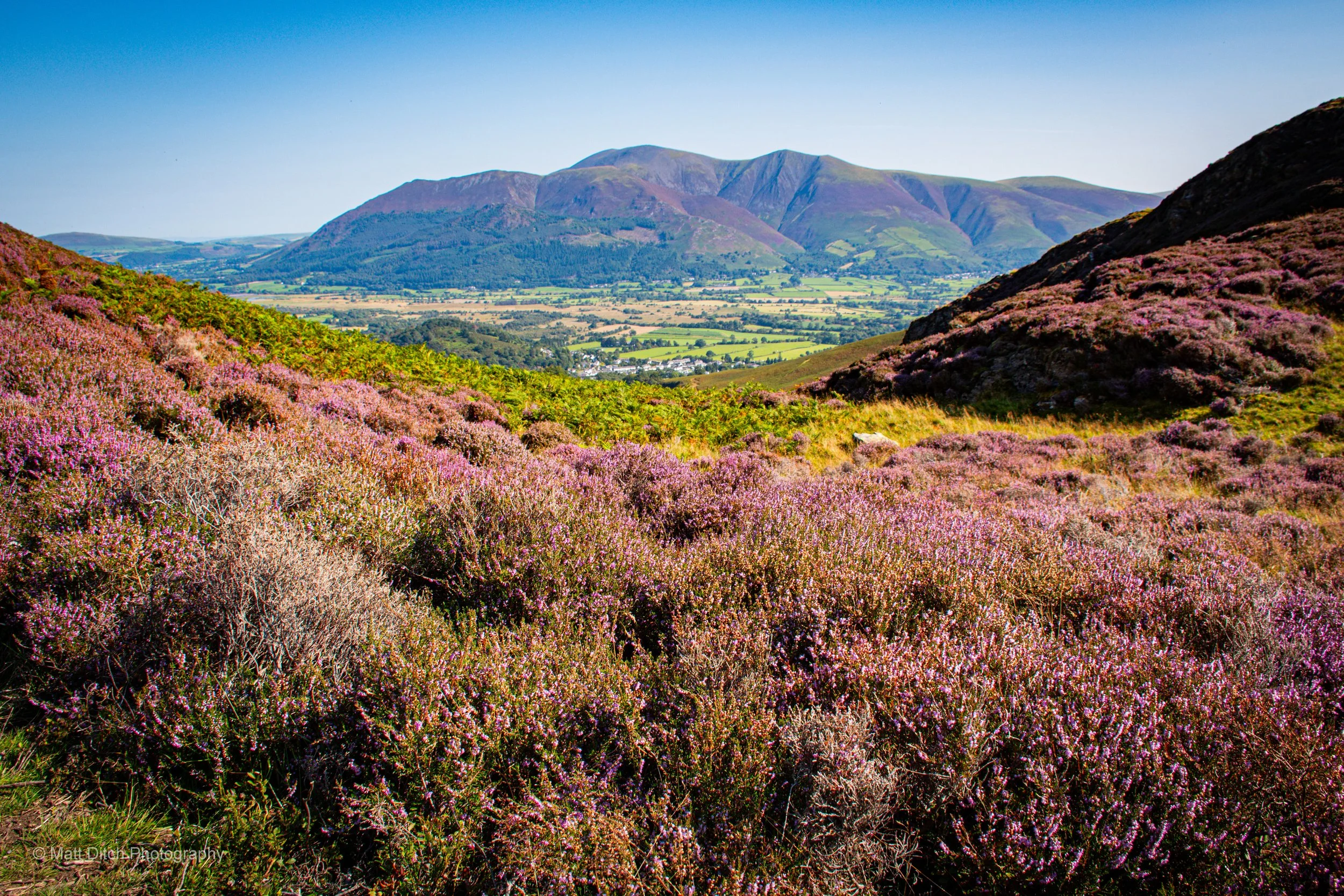 Coledale-28.jpg