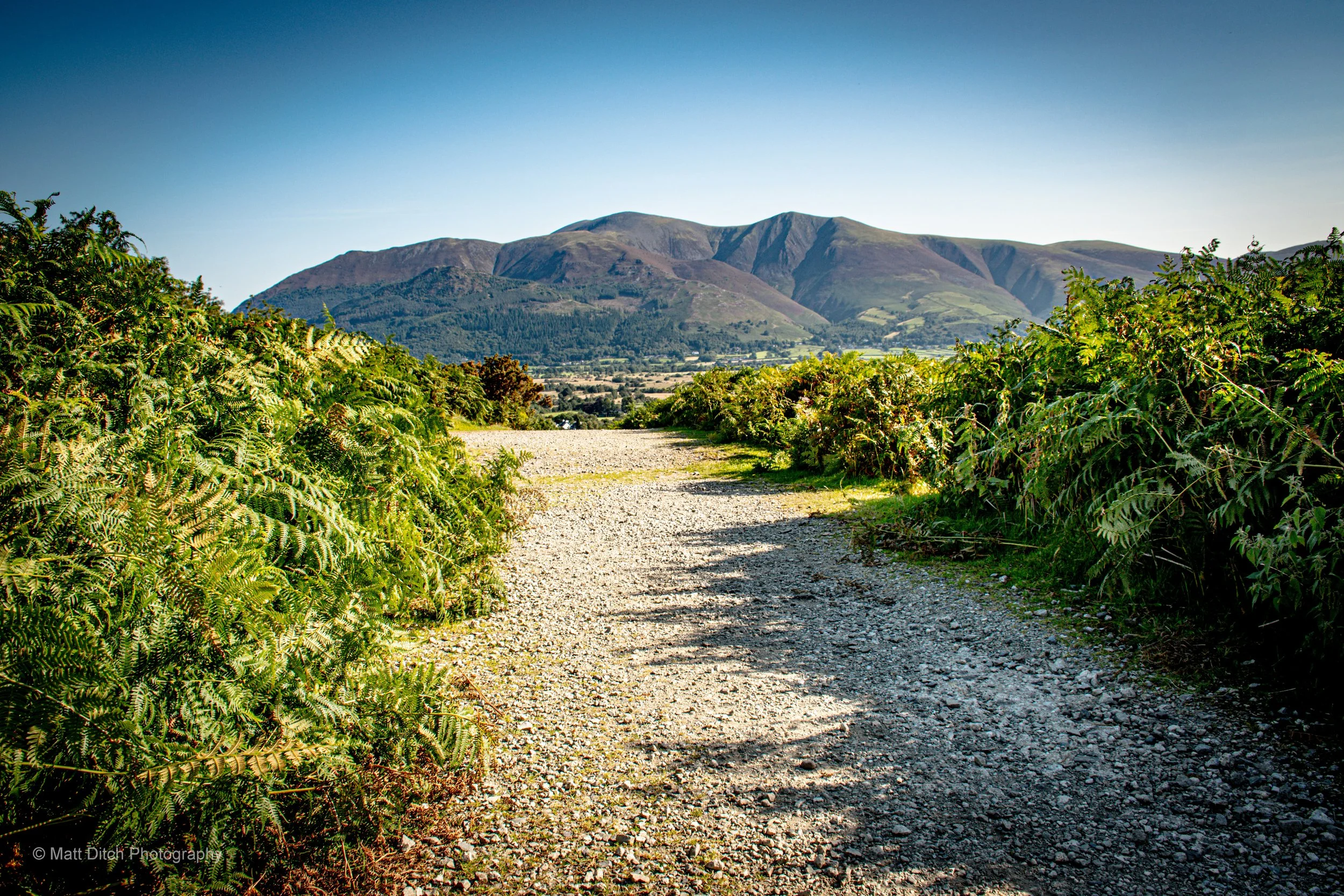 Coledale-31.jpg