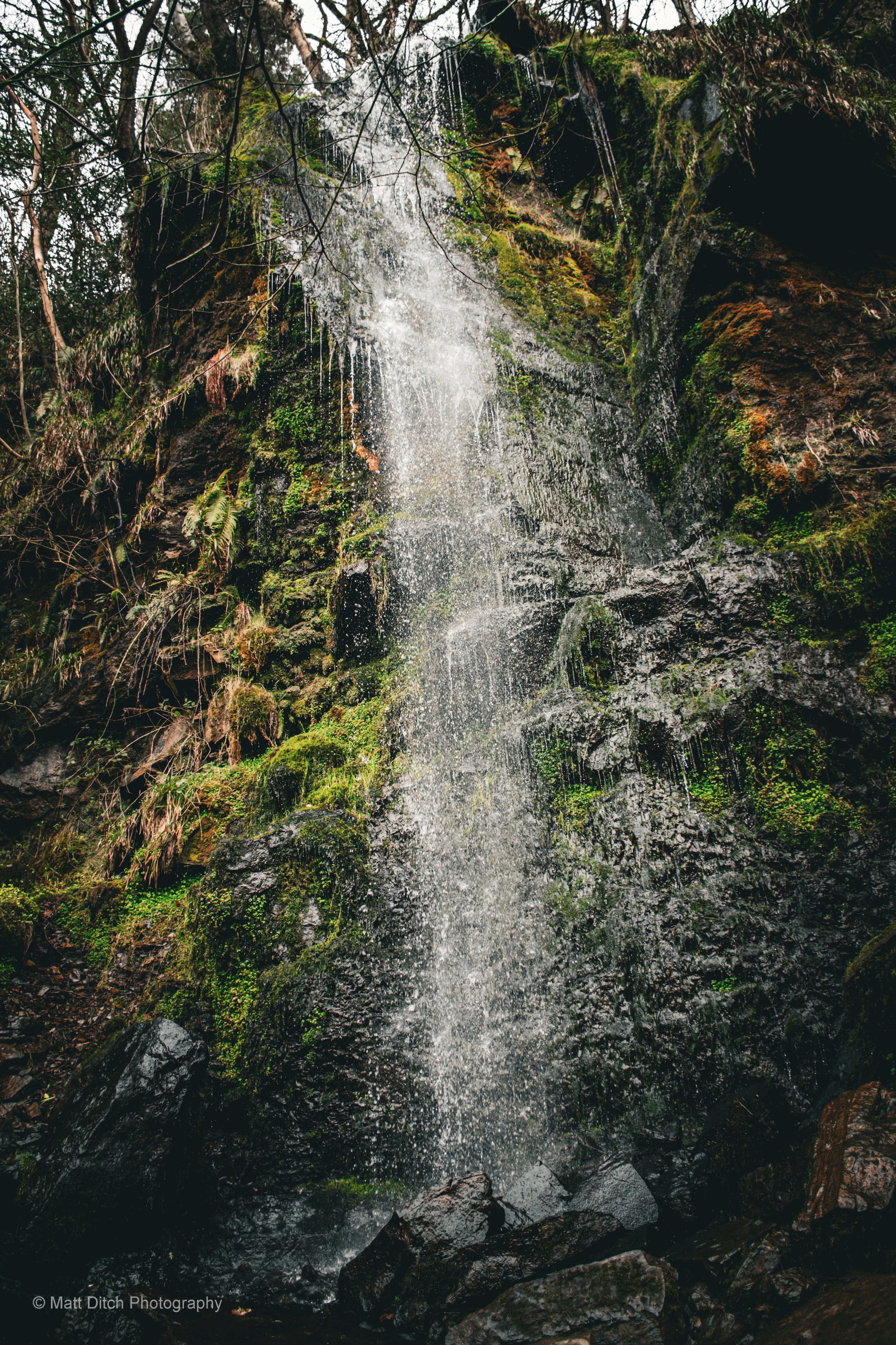 Mallyan Spout-4.jpg