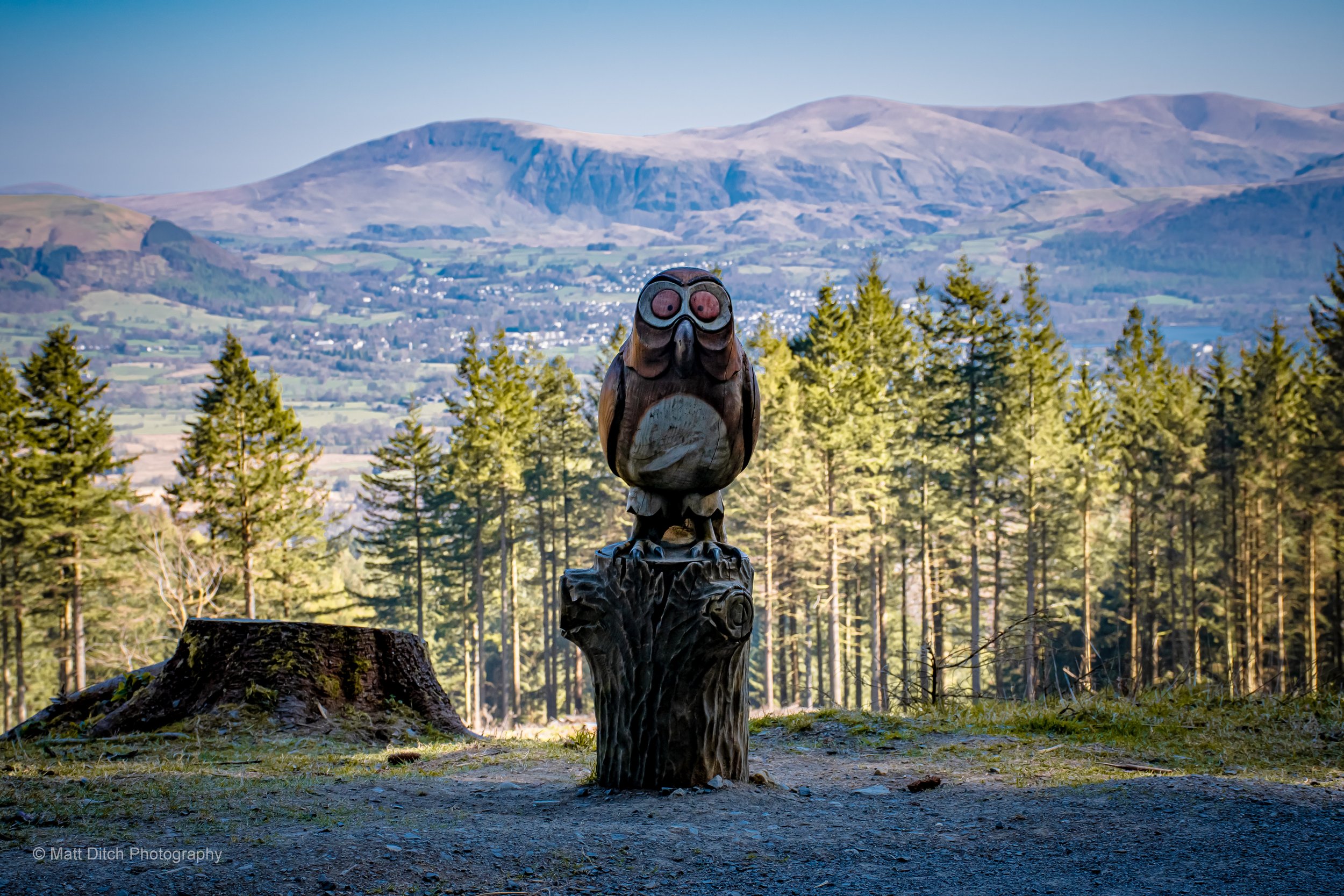Whinlatter-4.jpg