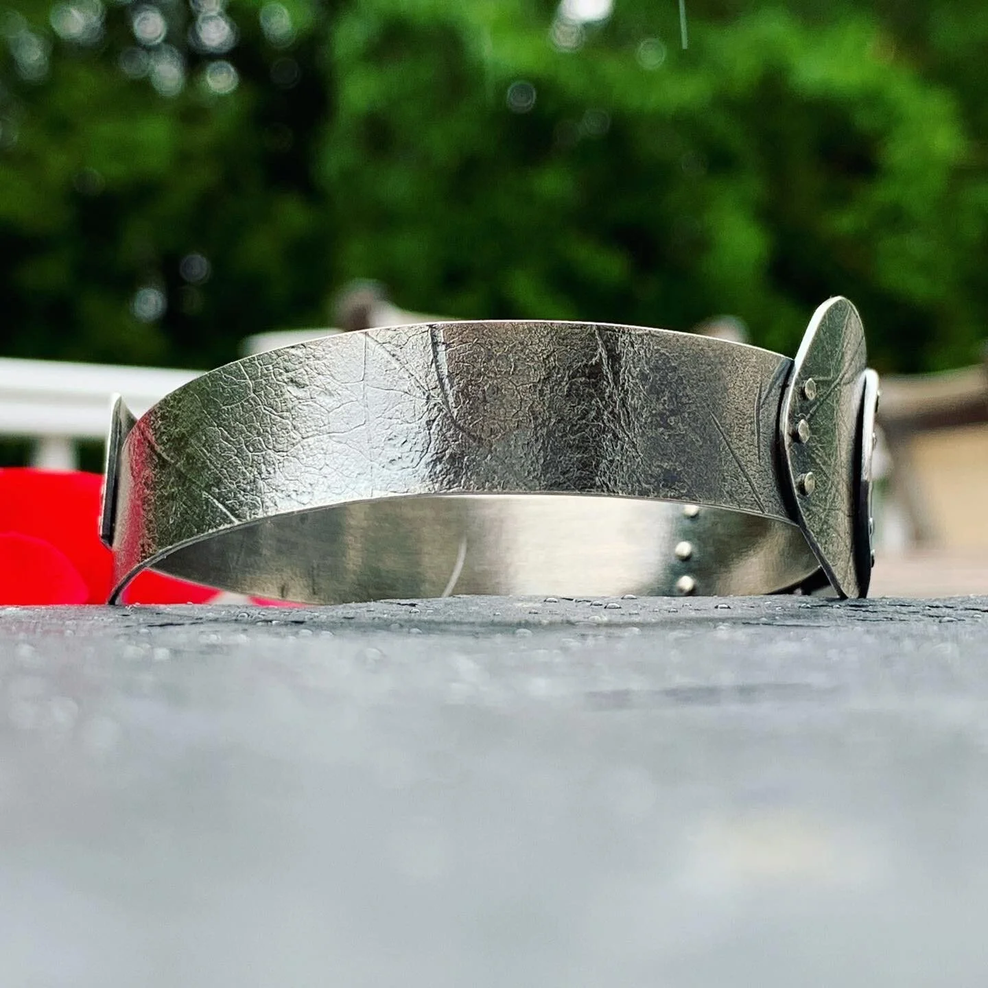 650ED775-7C02-490A-8FAE-A59BA7FCE8C3