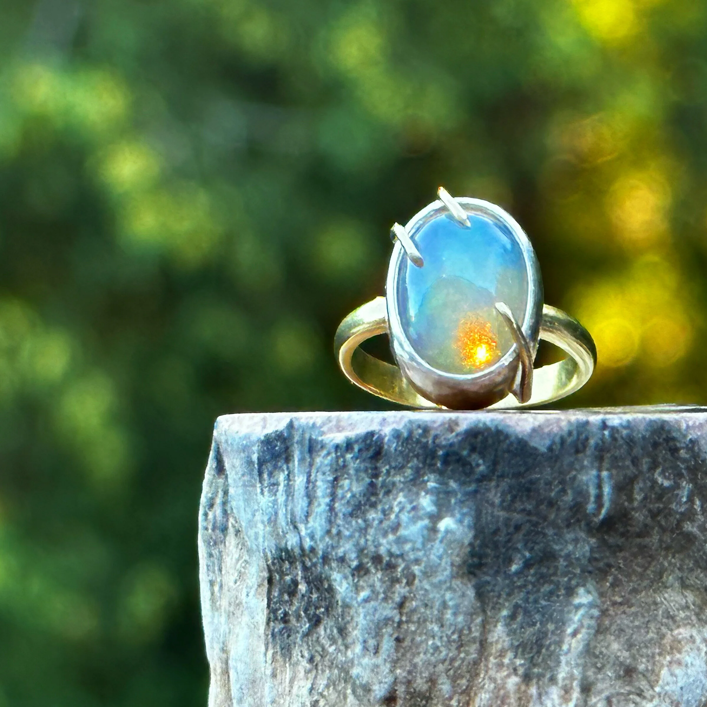 BEBA59D2-CD51-4F81-B4D4-1FC176B8BDC3