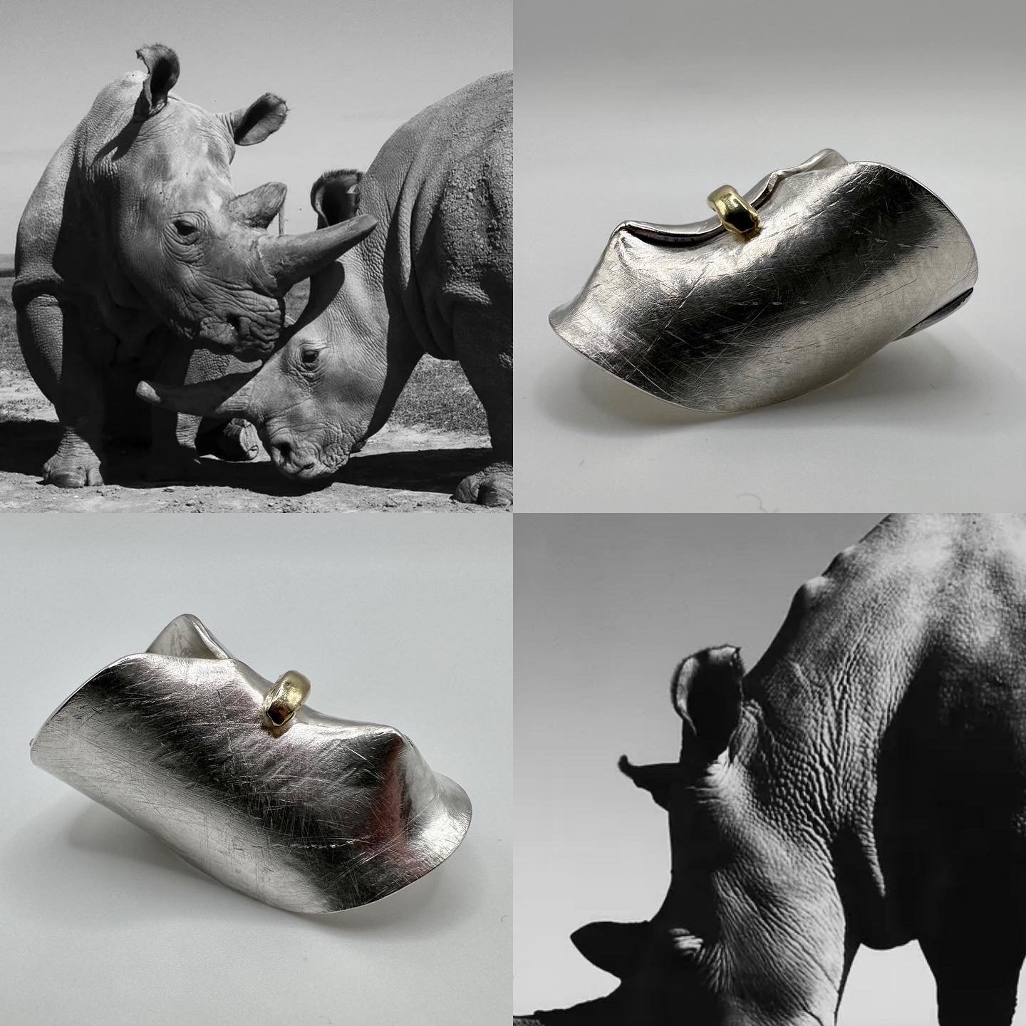 The Ambassador, benefiting Ol Pejeta Conservancy, Kenya